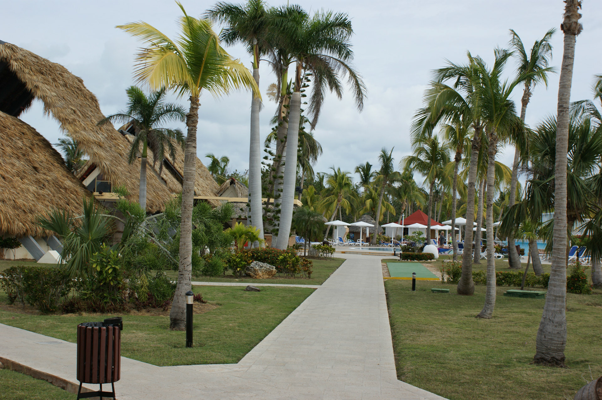 SONY DSC