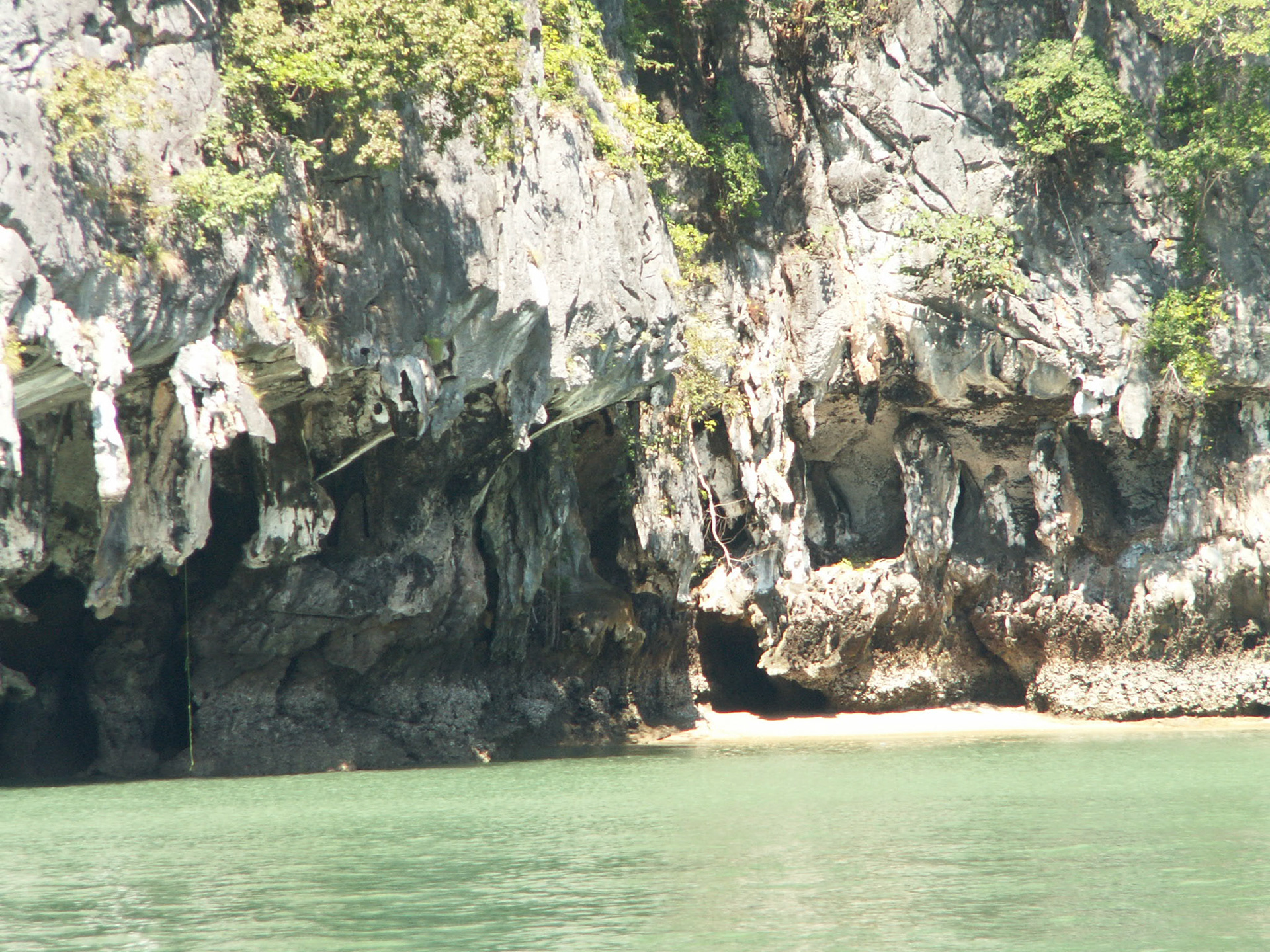 KONICA MINOLTA DIGITAL CAMERA