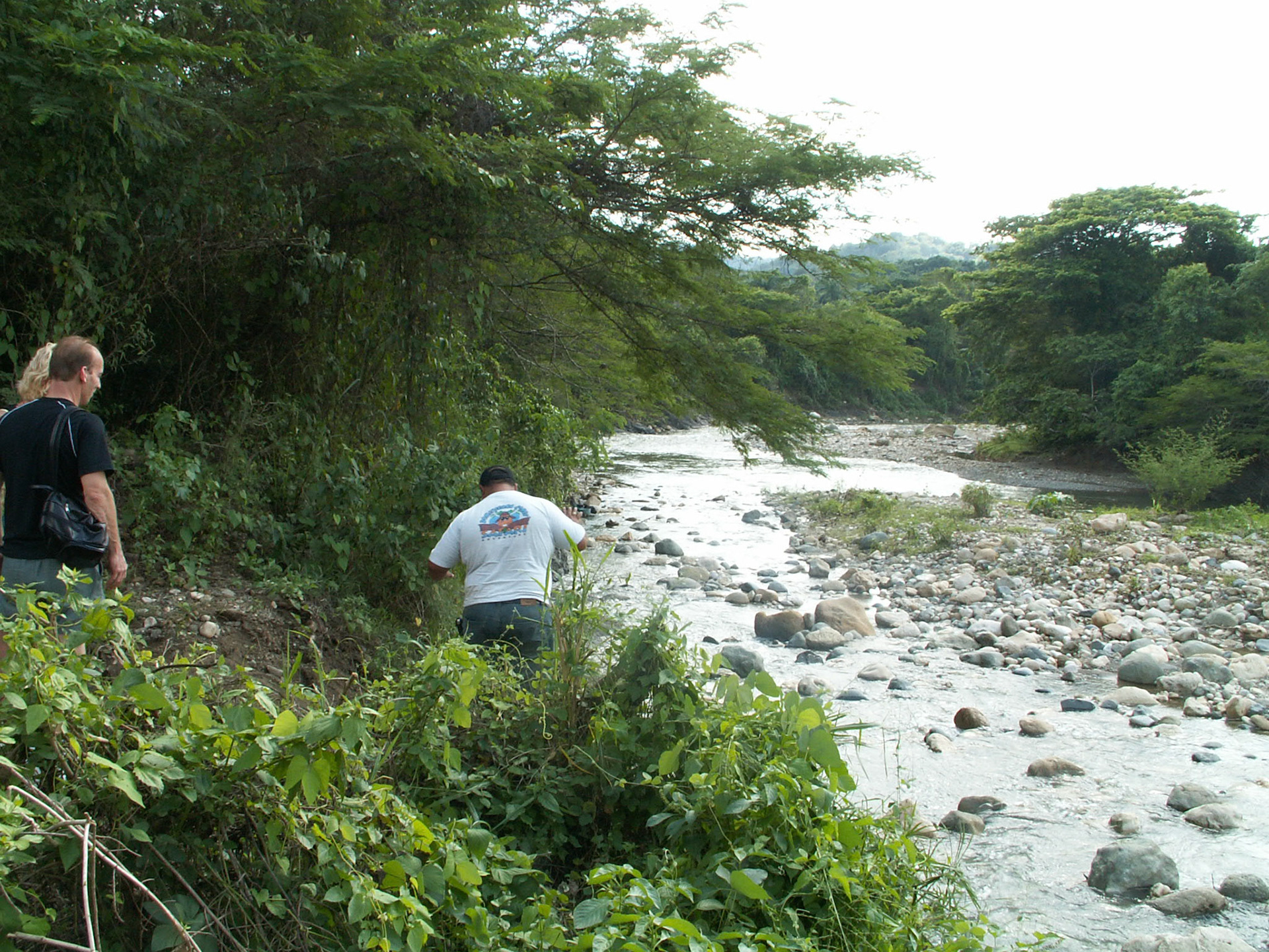 KONICA MINOLTA DIGITAL CAMERA