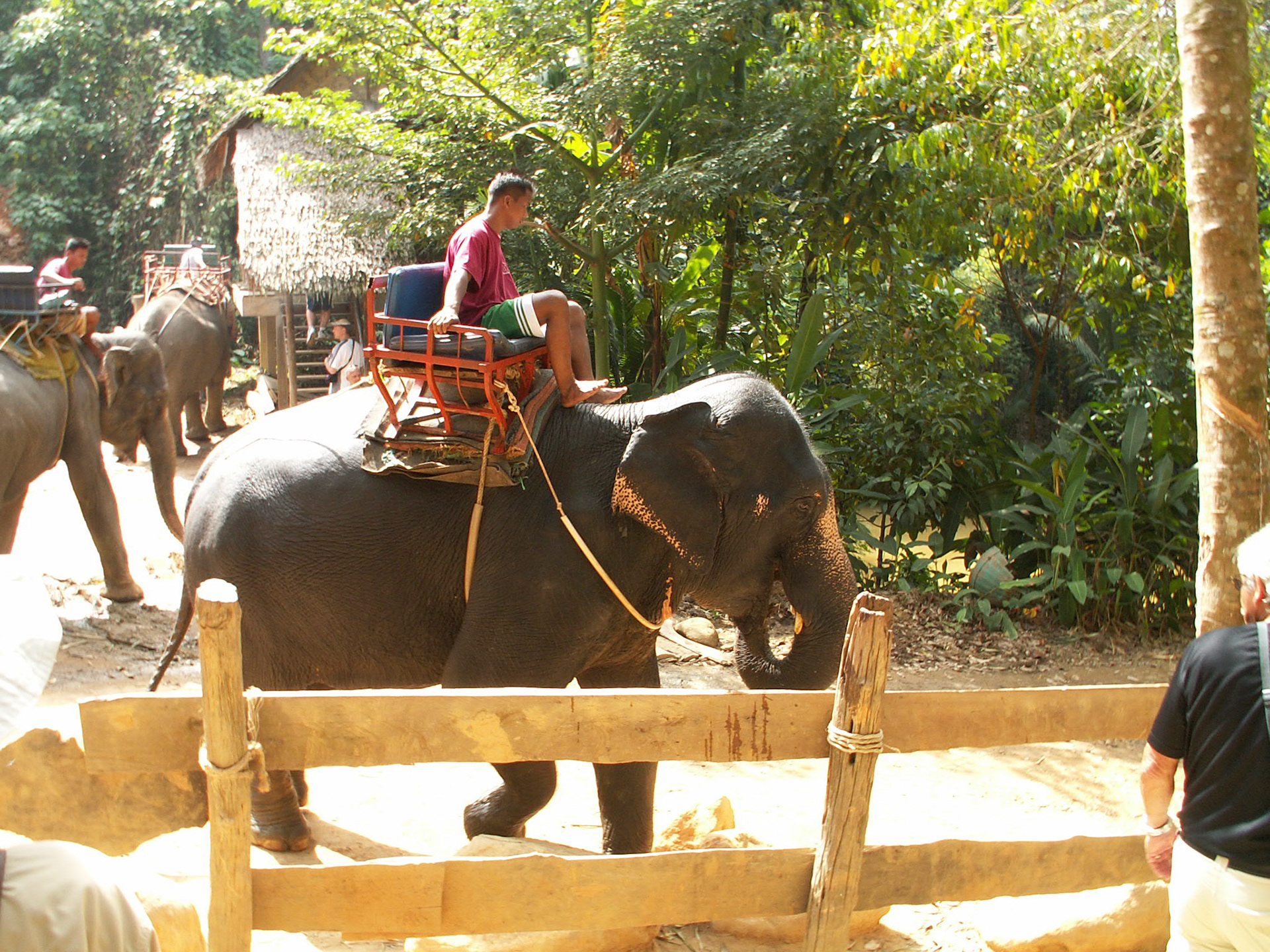 KONICA MINOLTA DIGITAL CAMERA