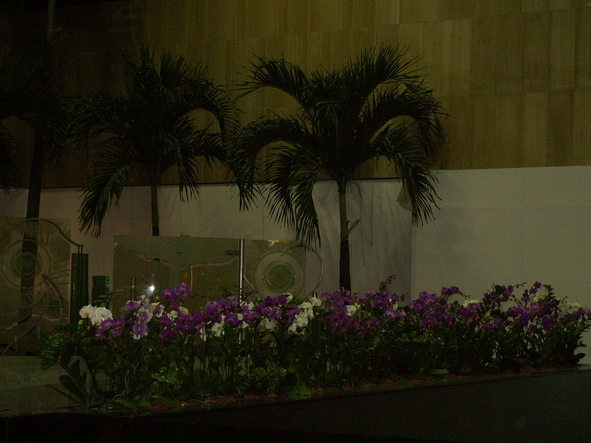 KONICA MINOLTA DIGITAL CAMERA