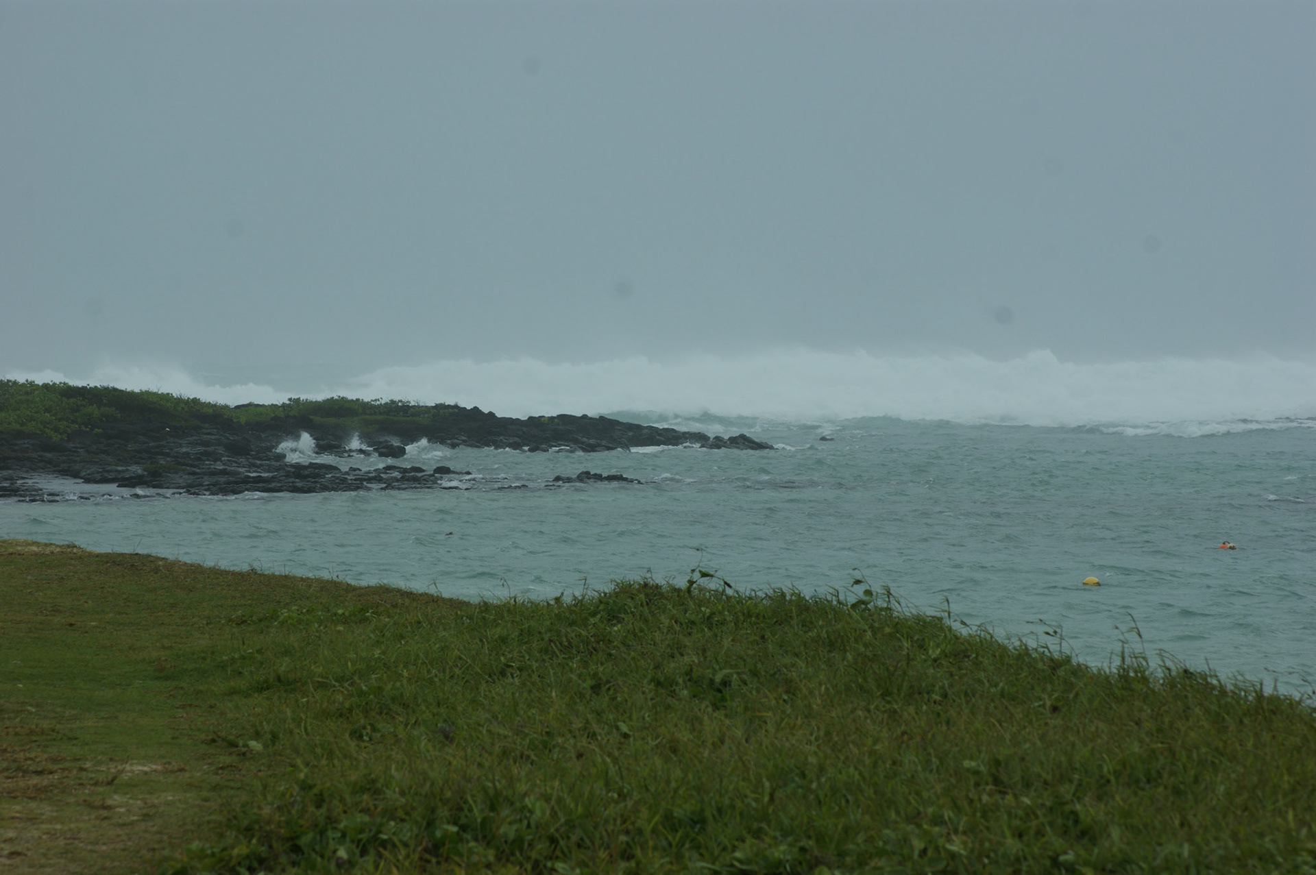 SONY DSC