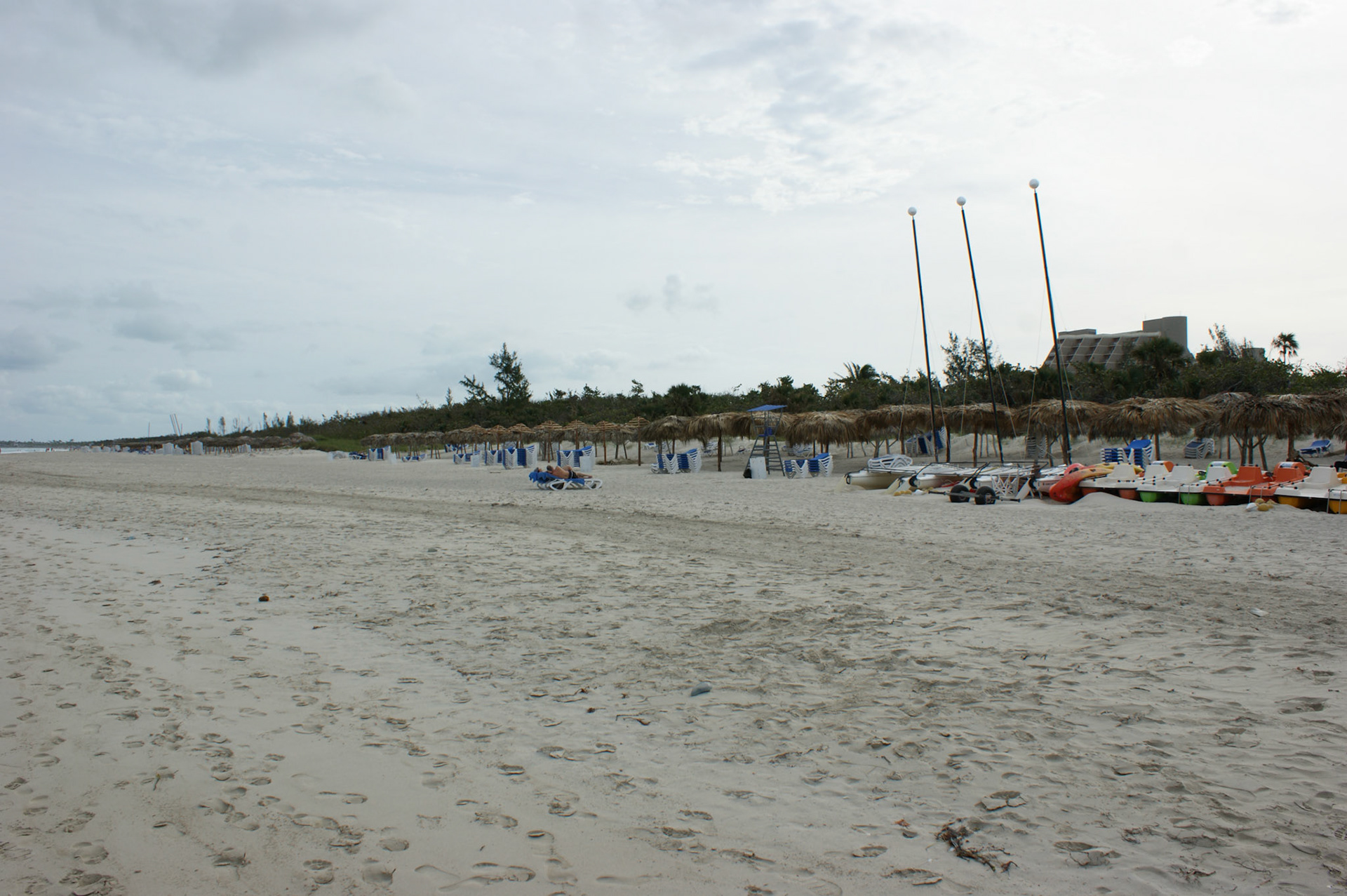 SONY DSC