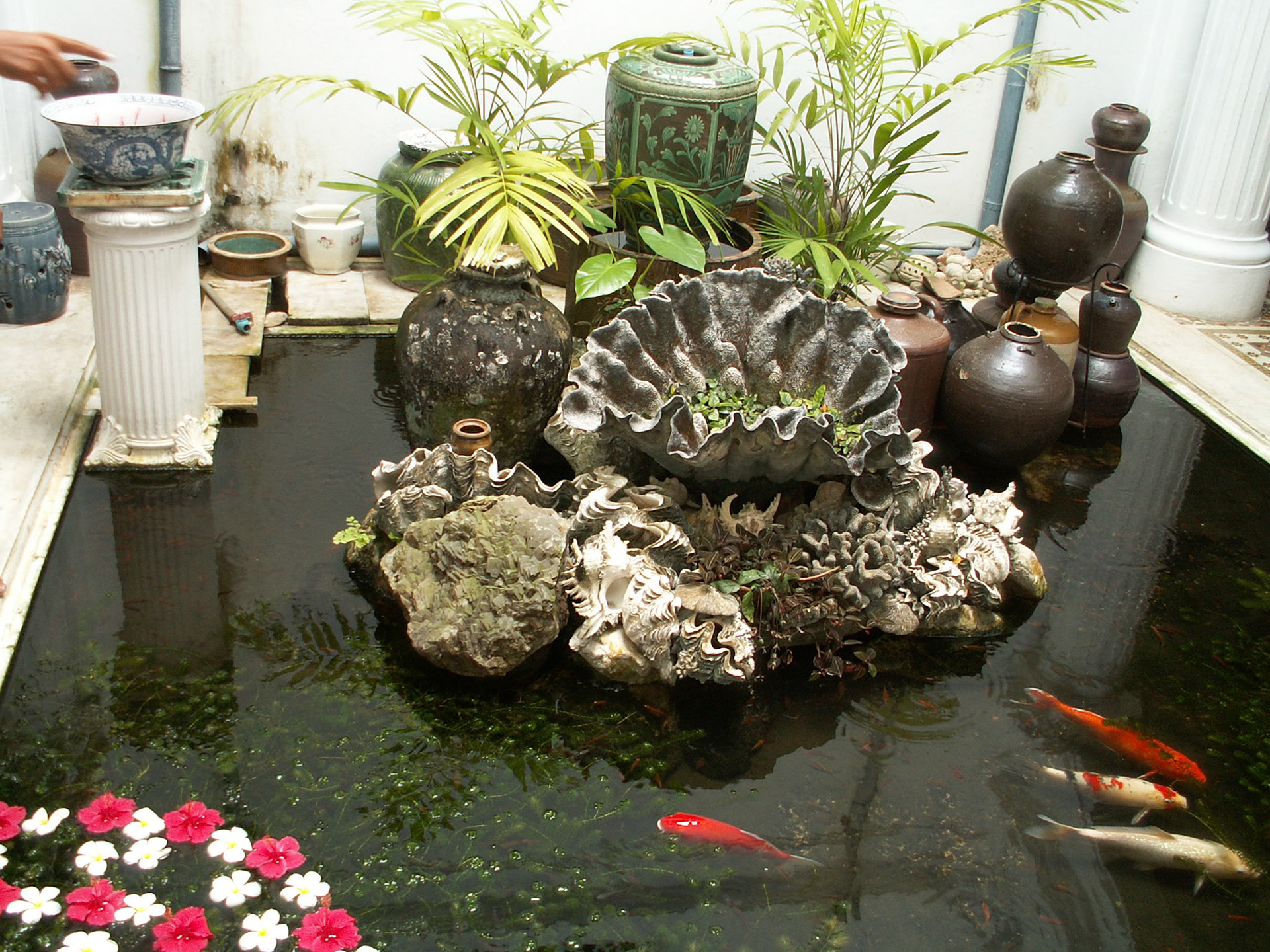 KONICA MINOLTA DIGITAL CAMERA