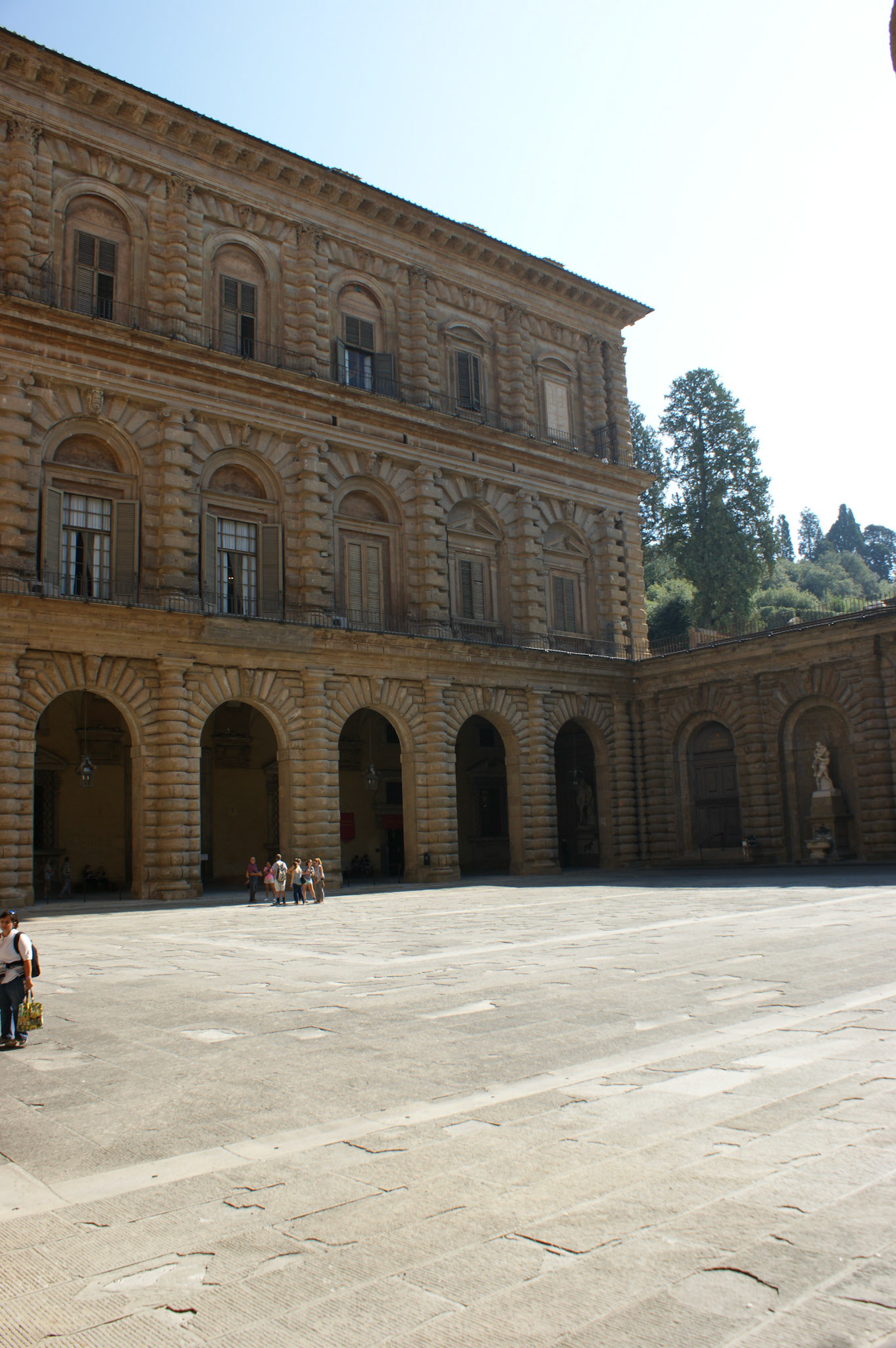 SONY DSC