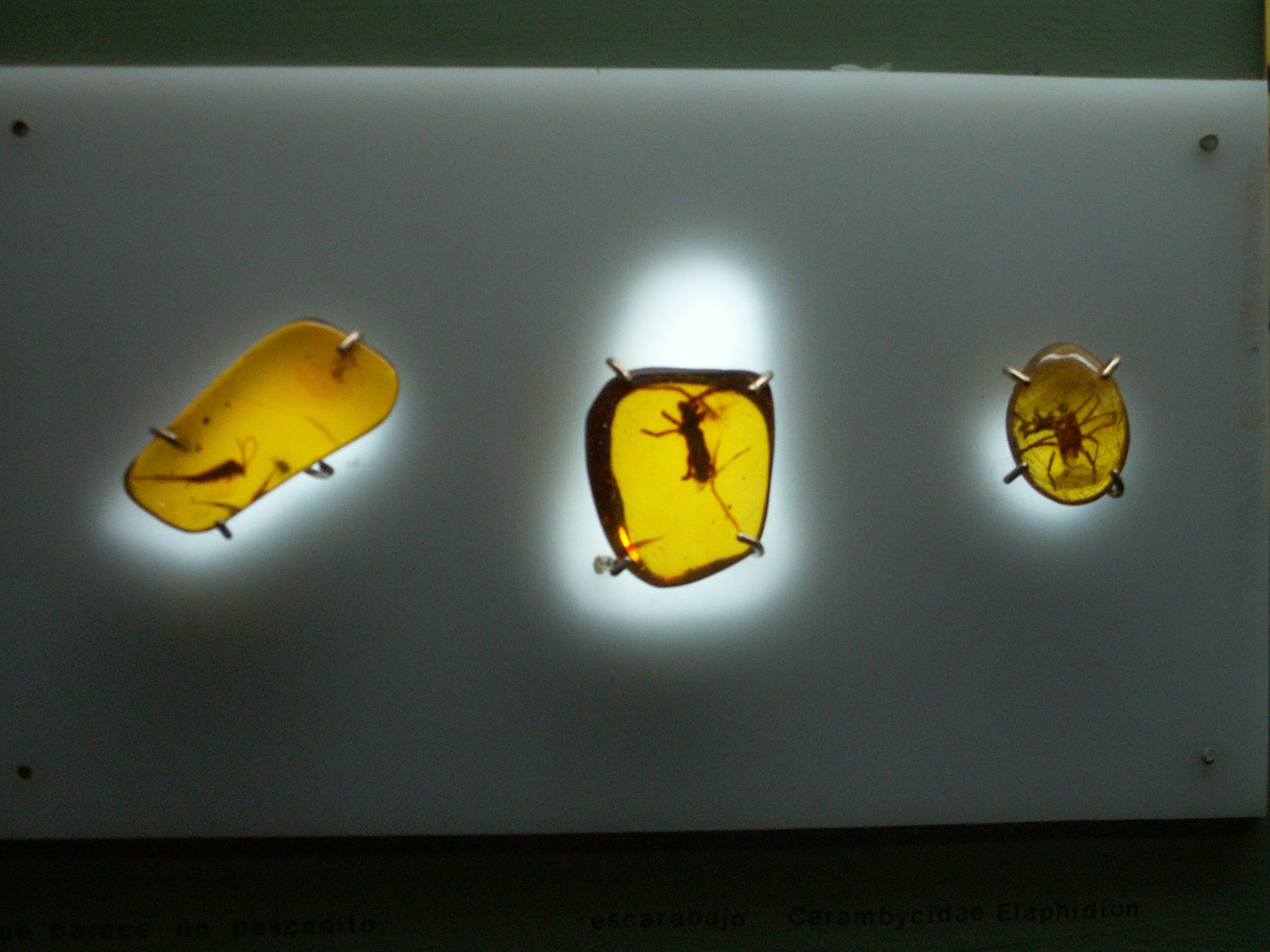 KONICA MINOLTA DIGITAL CAMERA