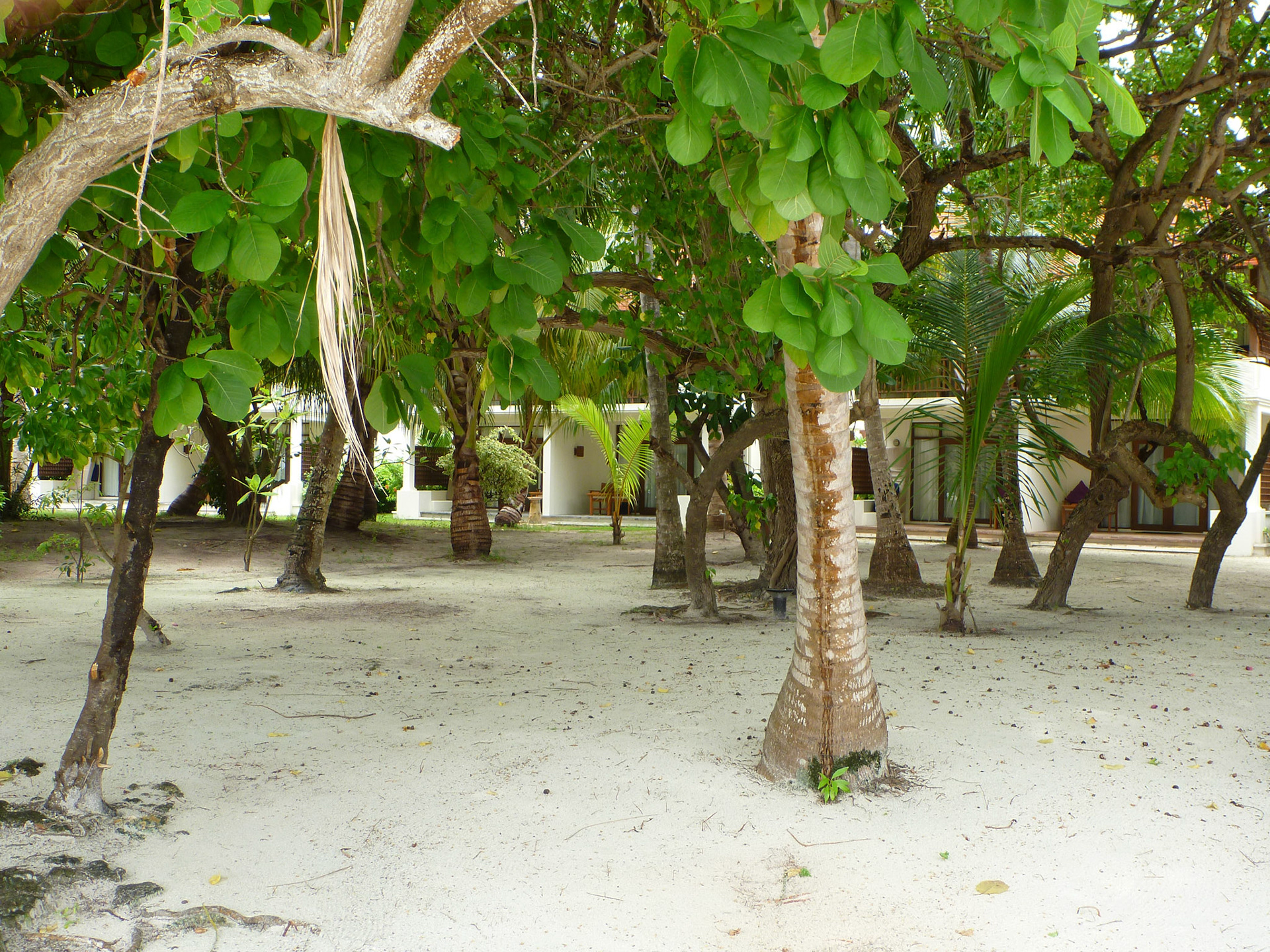 8-14.9.11 MALEDIVY Kurumba hotel