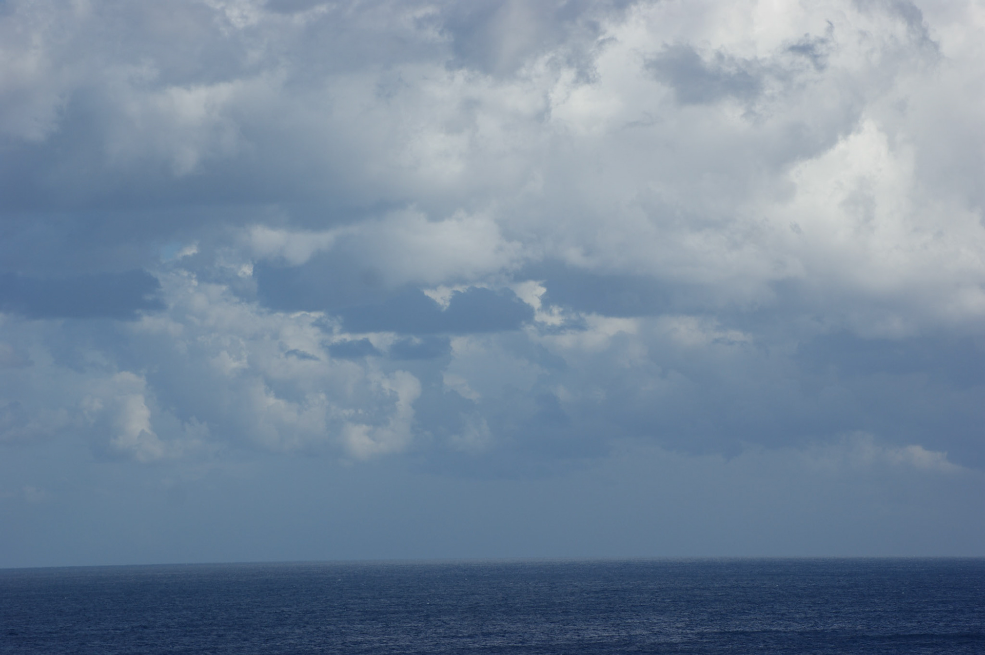 SONY DSC