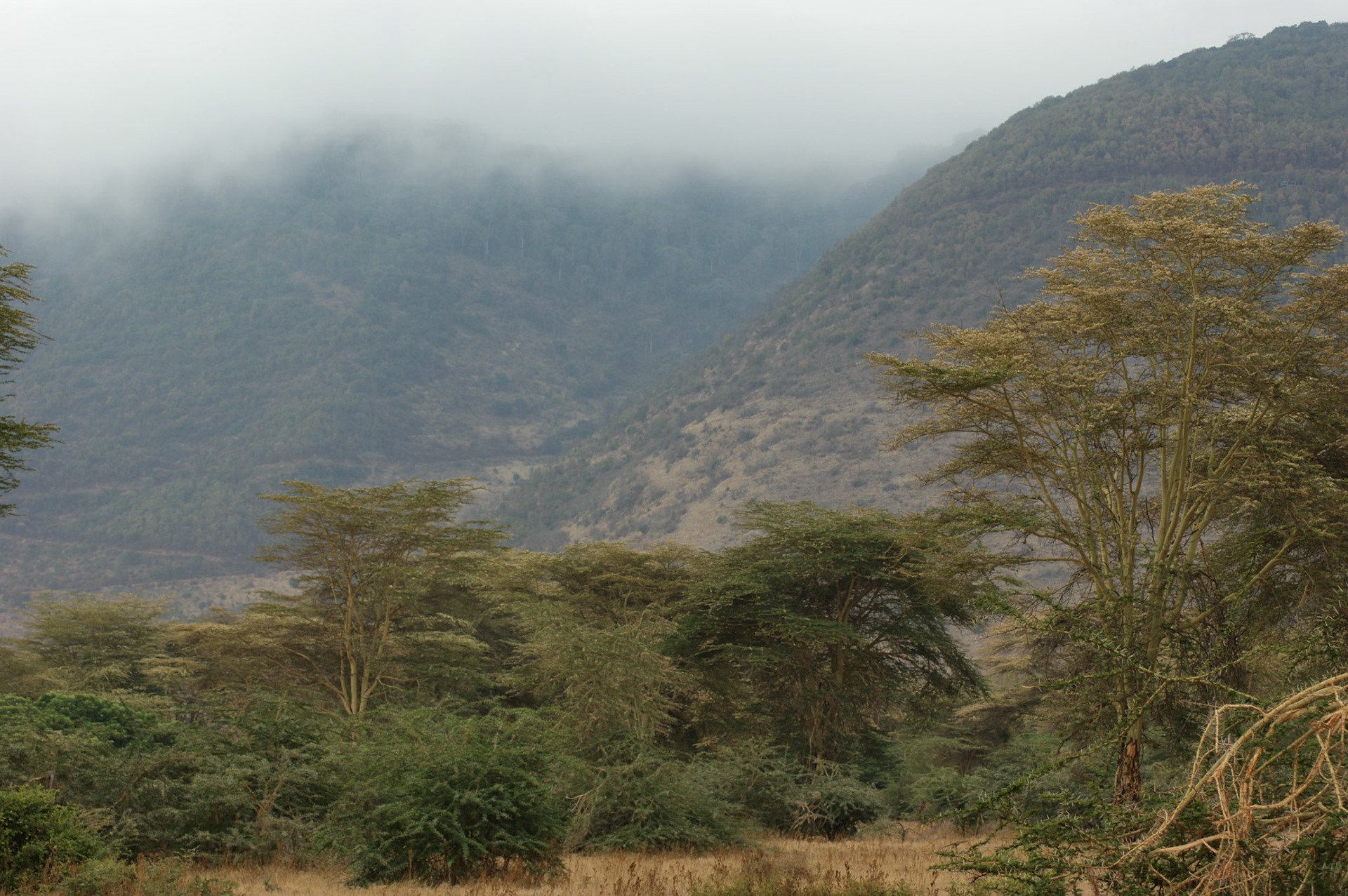 3.10.2009 TANZANIE - Ngorongoro NP