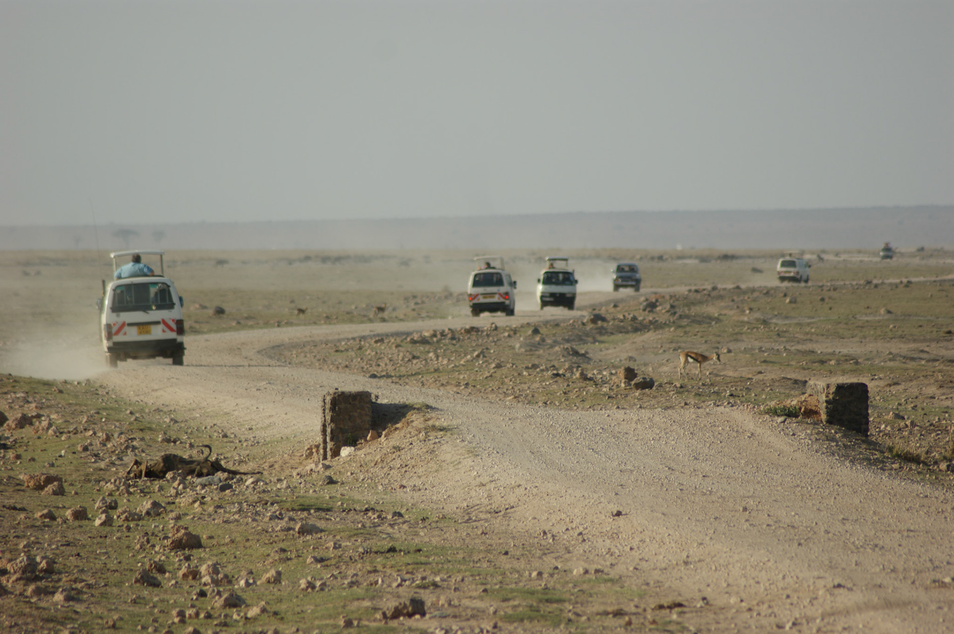 24.9.2009 KEŇA - NP Amboseli