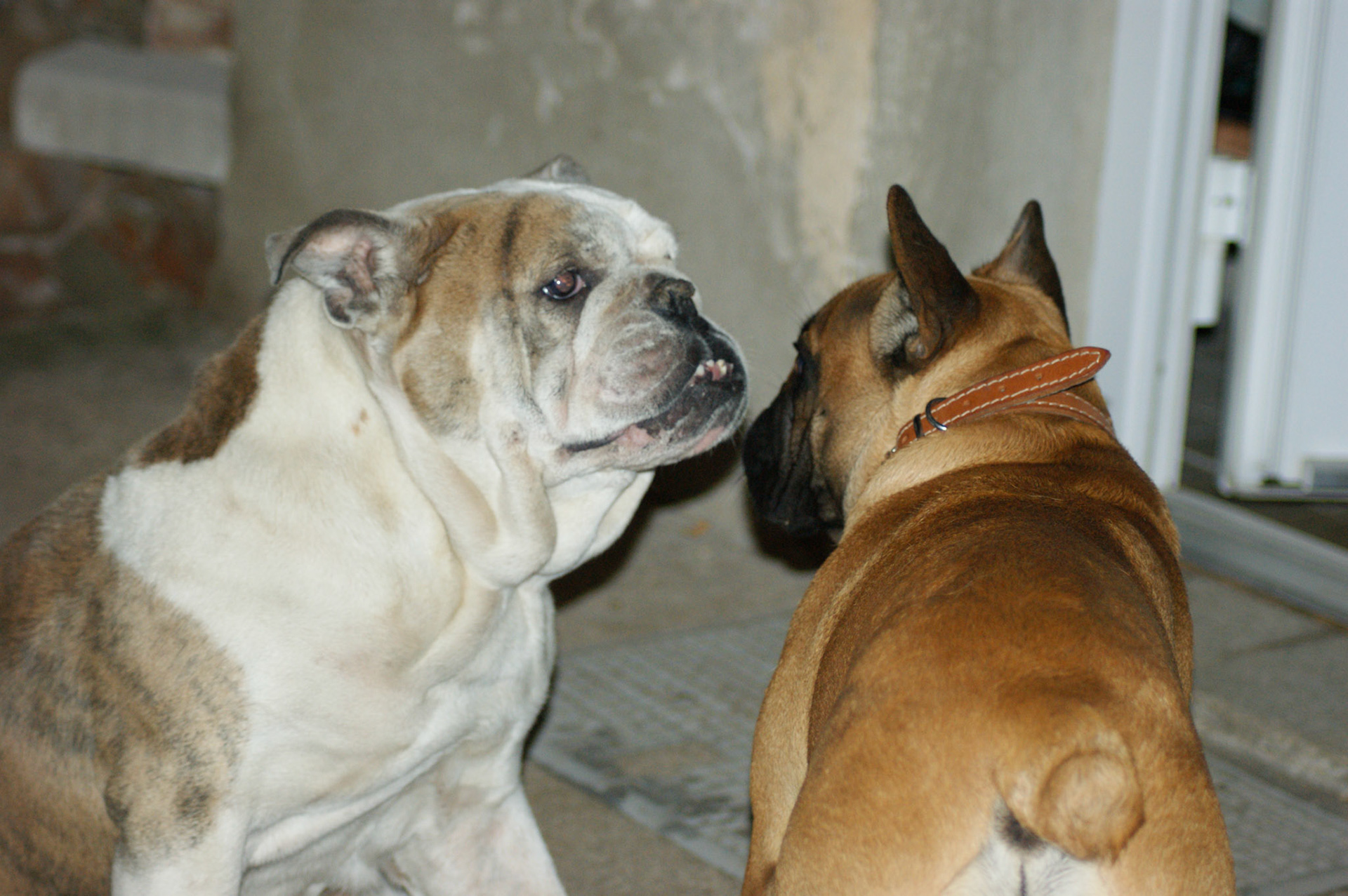 SONY DSC