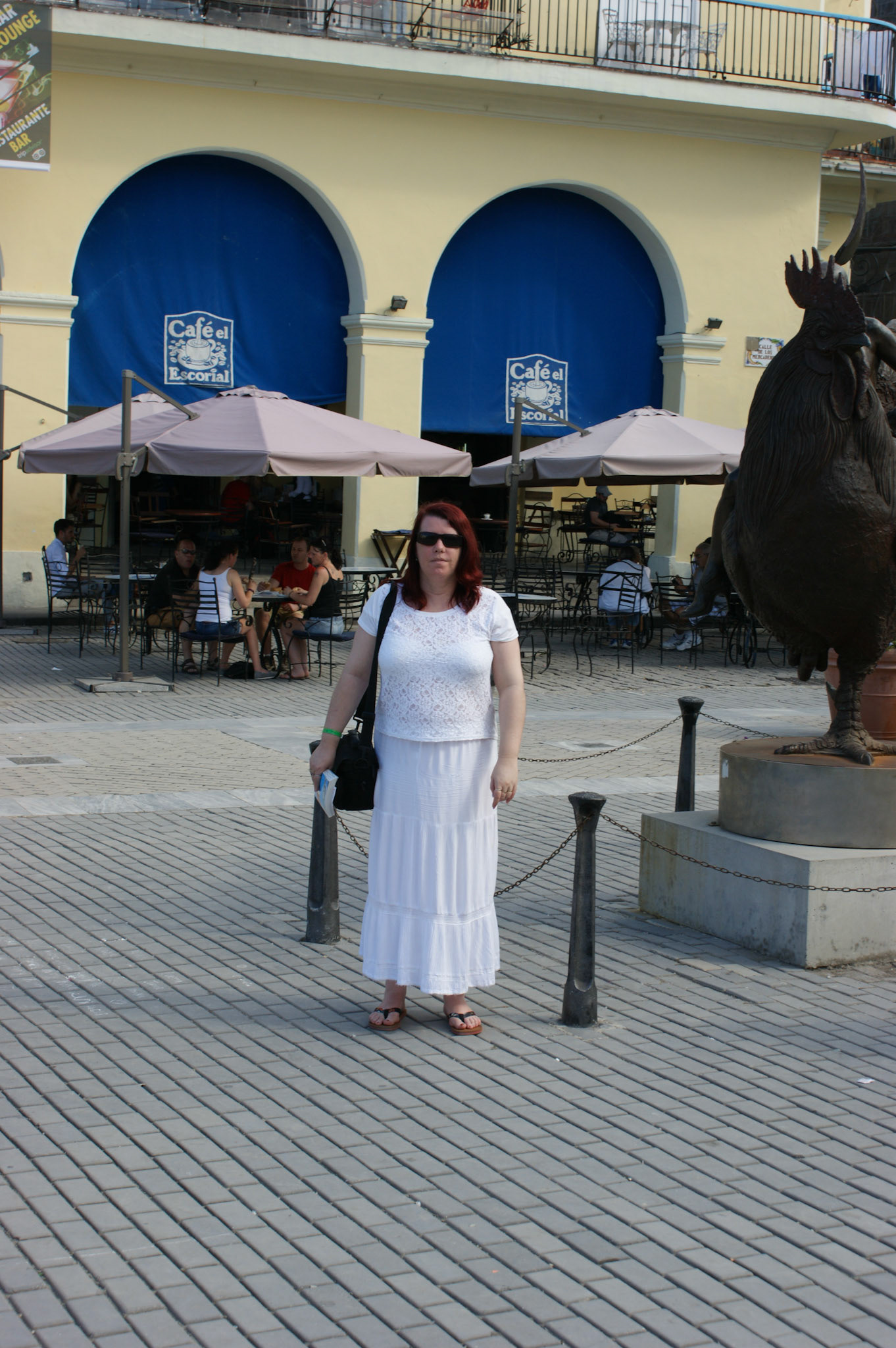 SONY DSC