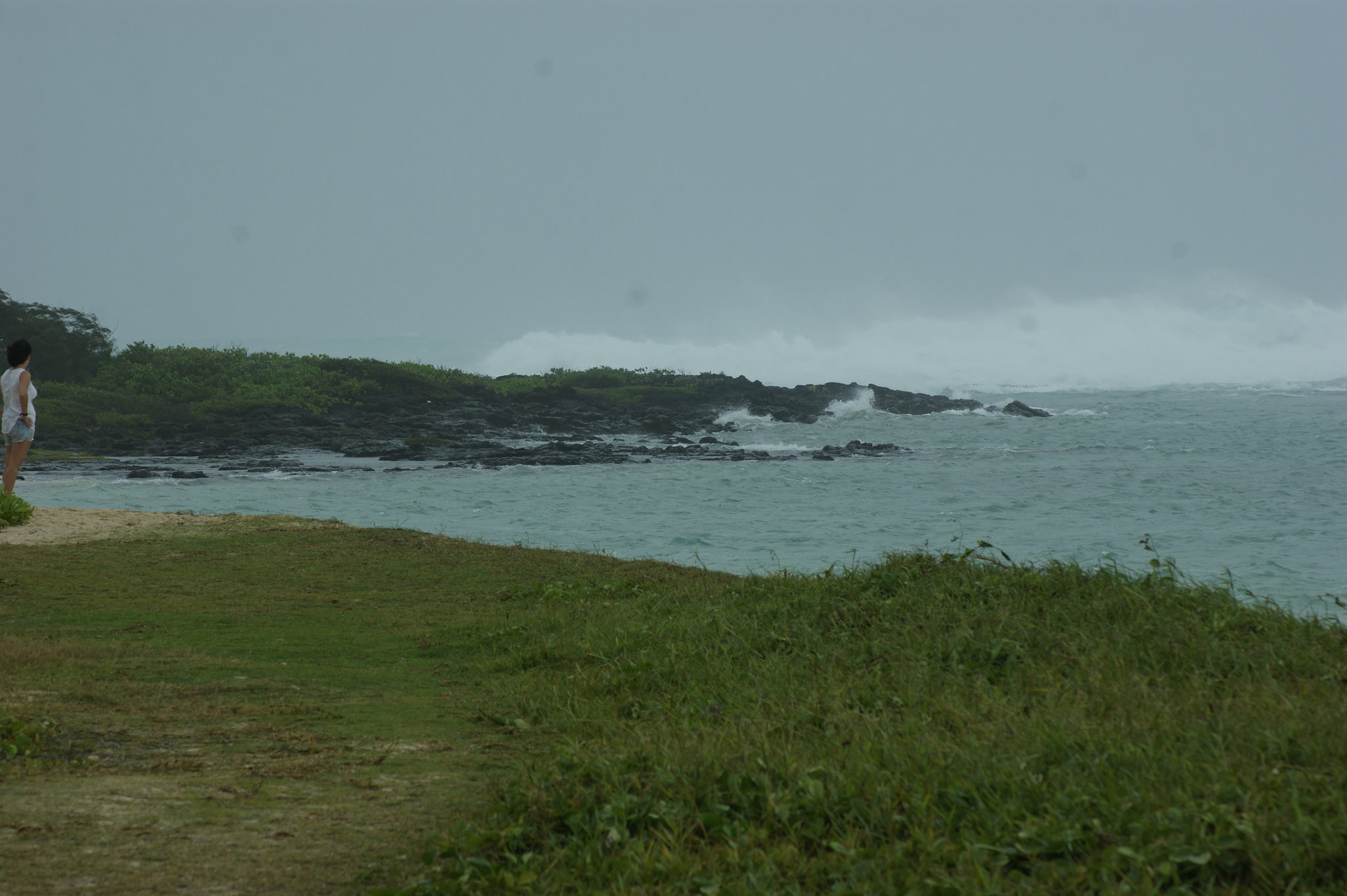 SONY DSC