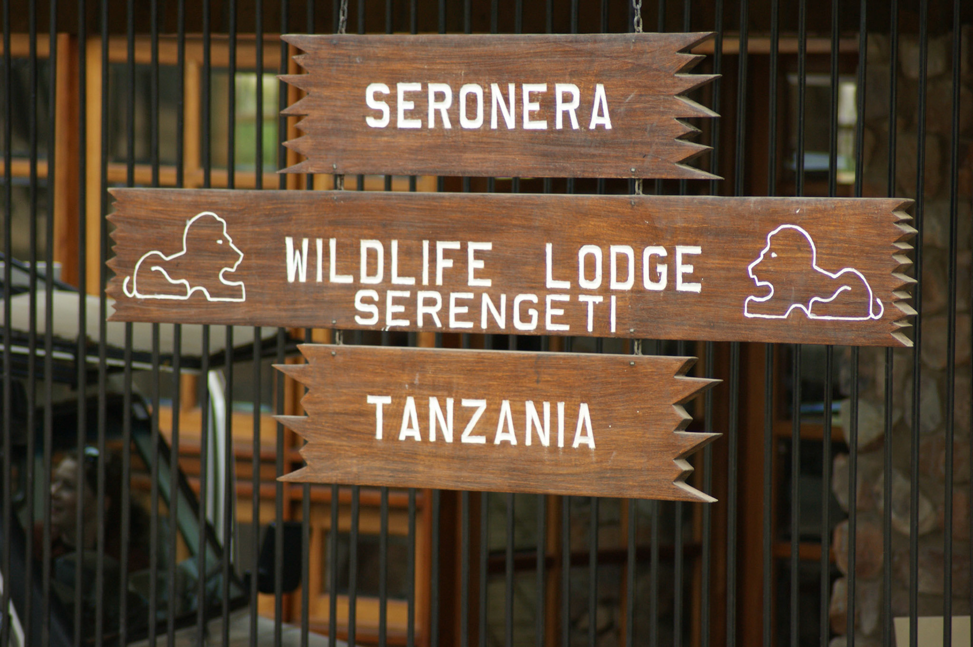 2.10.2009 TANZANIE - Serengeti