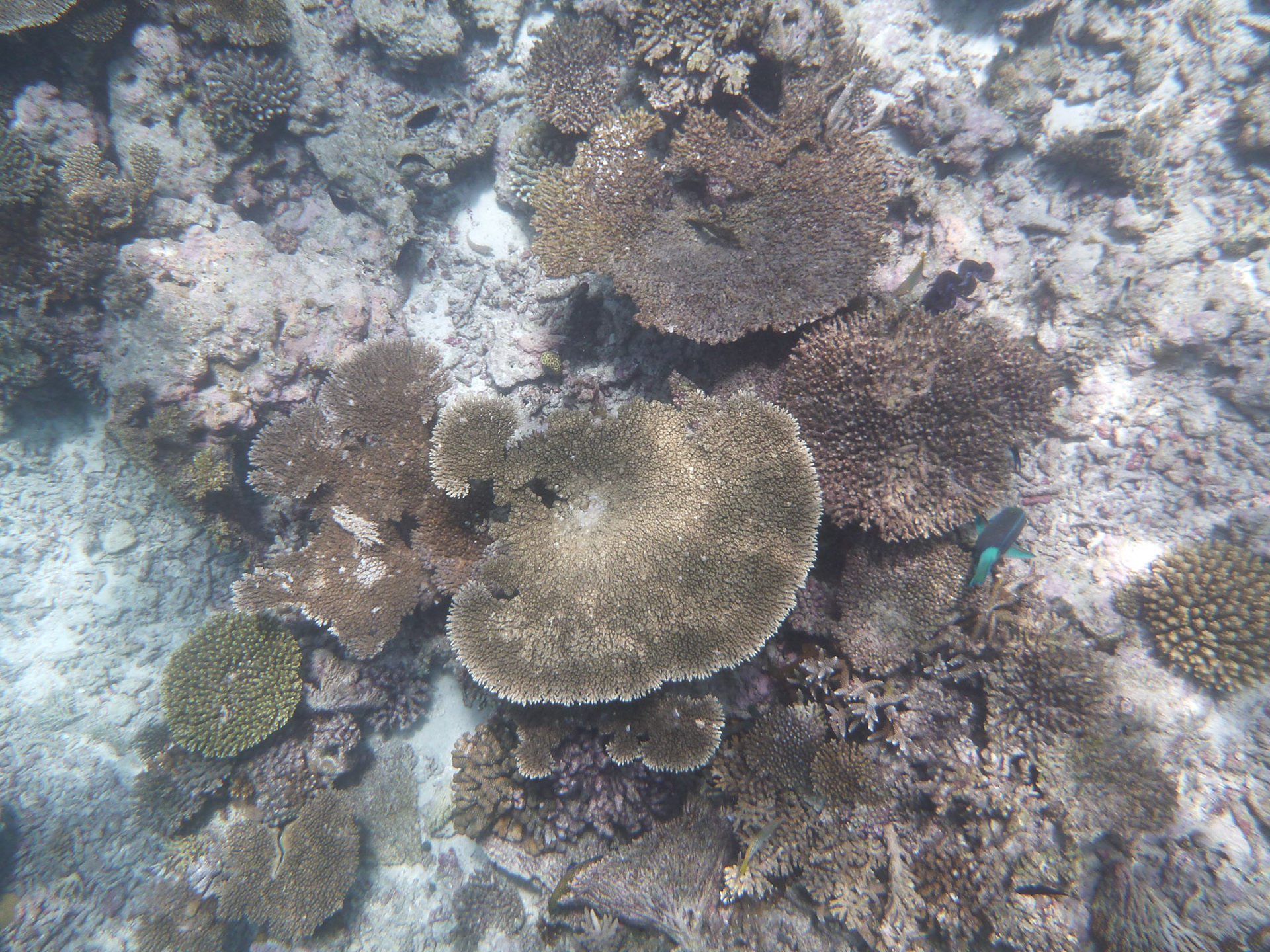 8-14.9.11 MALEDIVY Kurumba hotel