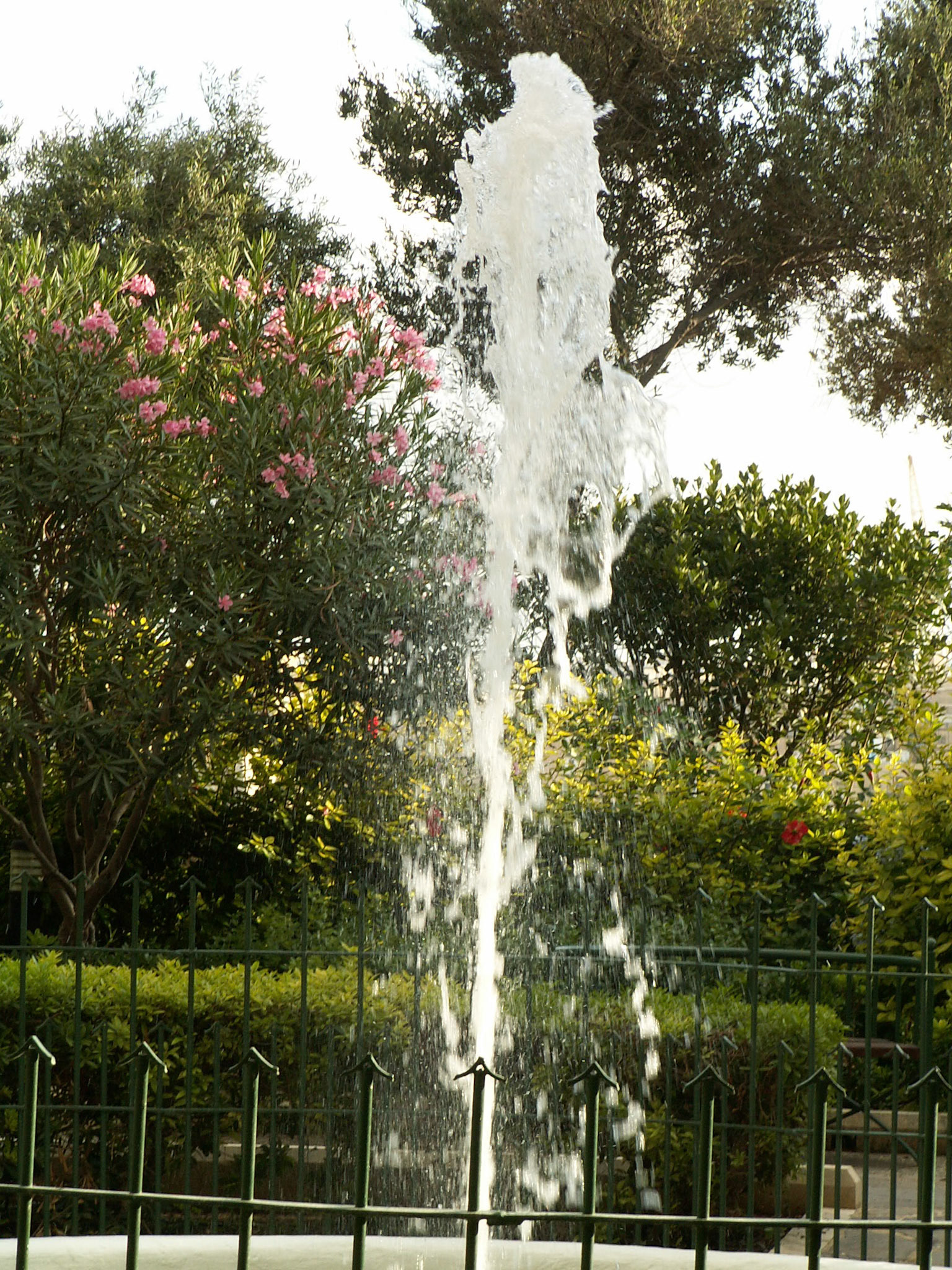 KONICA MINOLTA DIGITAL CAMERA