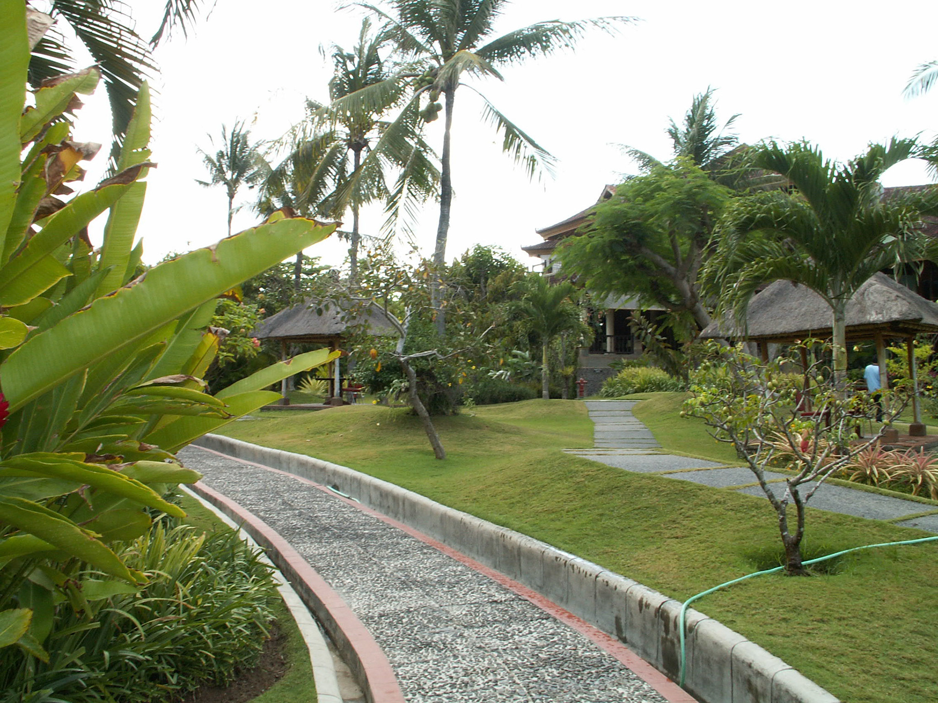 KONICA MINOLTA DIGITAL CAMERA