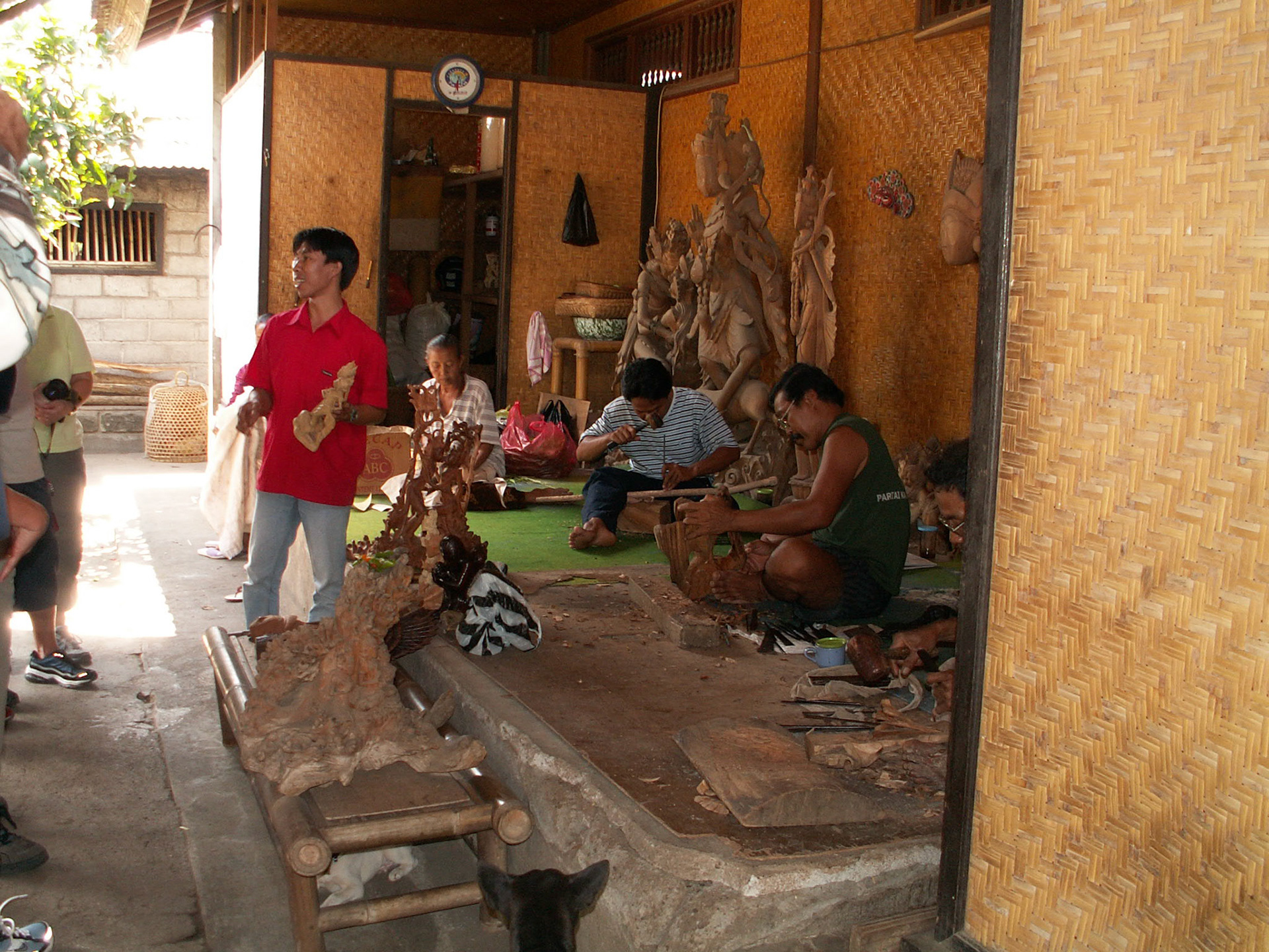 KONICA MINOLTA DIGITAL CAMERA