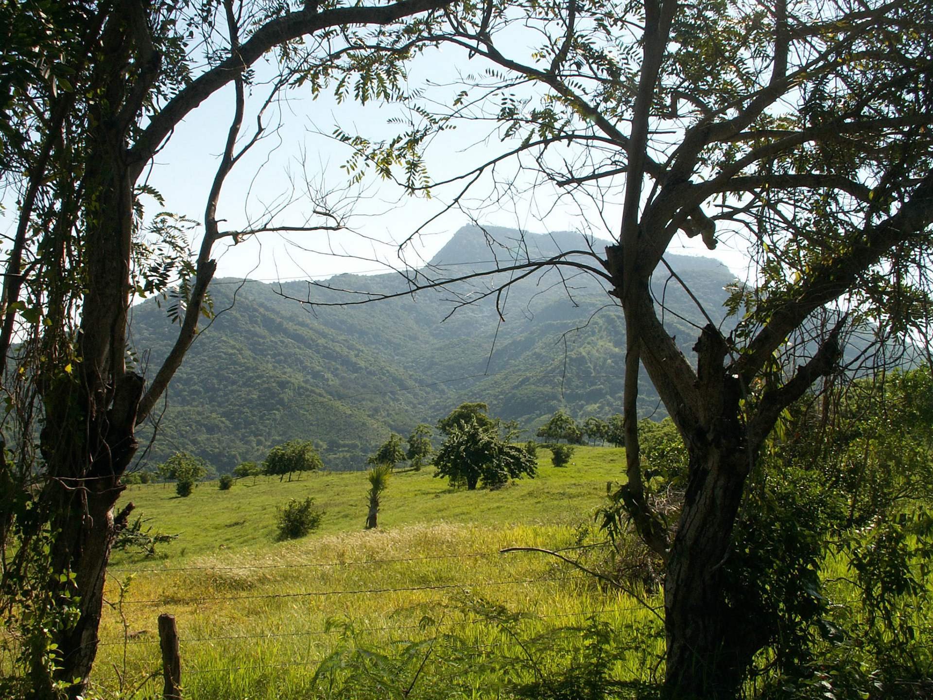 KONICA MINOLTA DIGITAL CAMERA