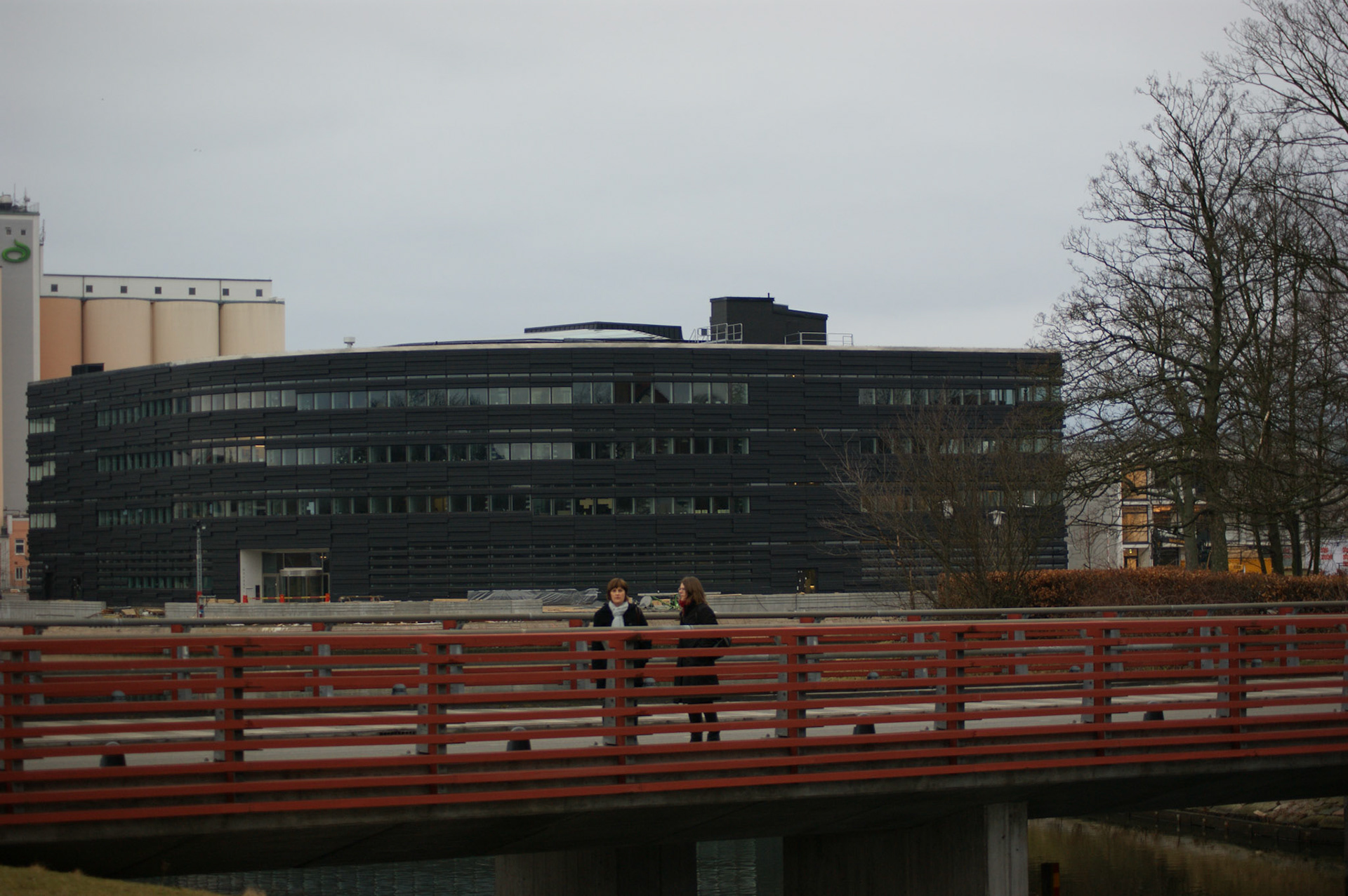 SONY DSC