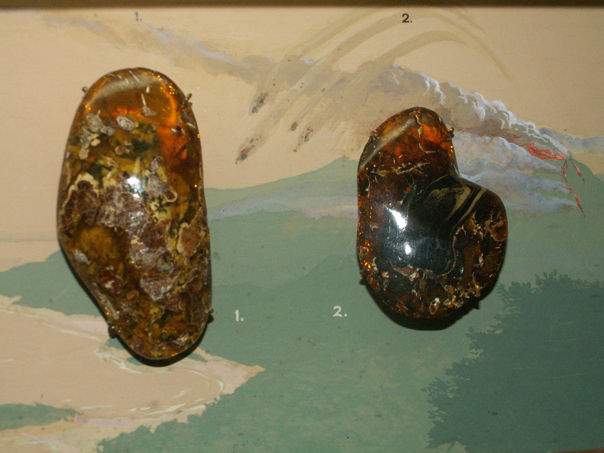 KONICA MINOLTA DIGITAL CAMERA