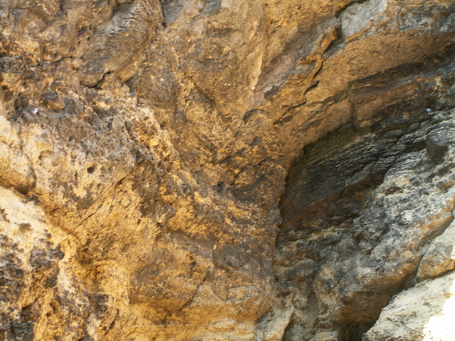 KONICA MINOLTA DIGITAL CAMERA