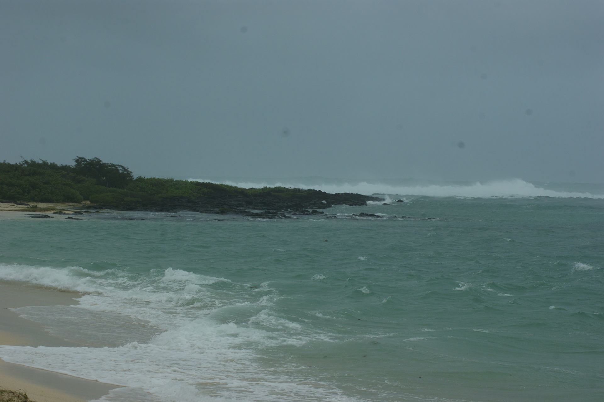 SONY DSC