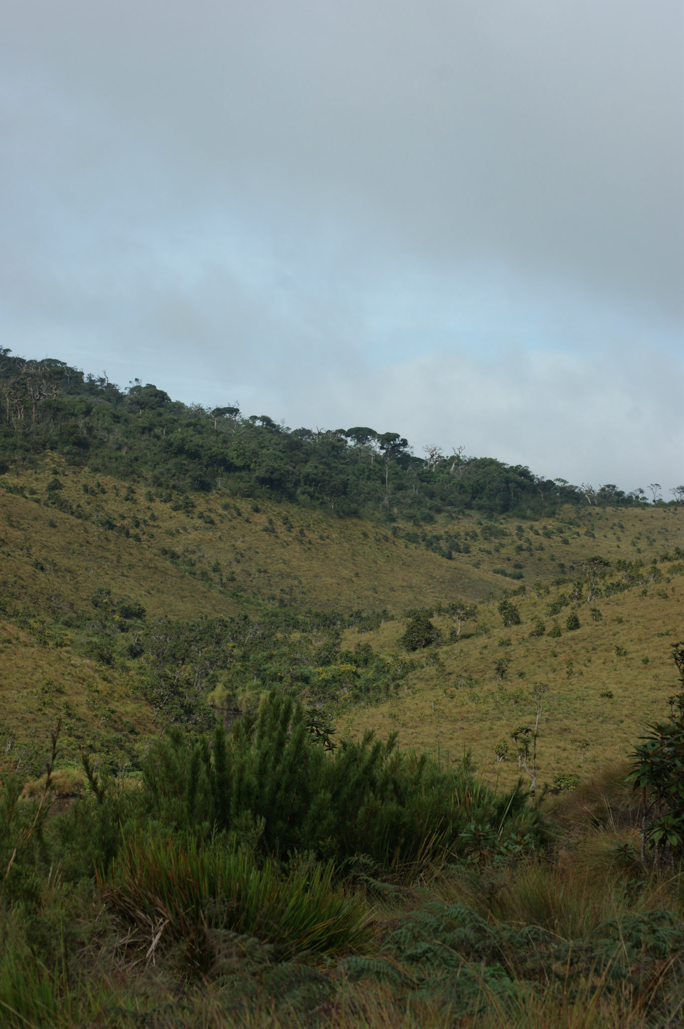 7.9.11 HORTONSKÉ PLÁNĚ - Konec světa