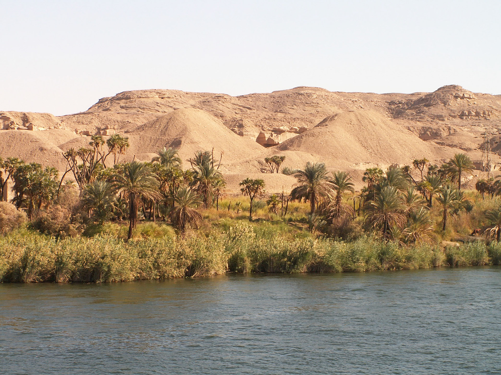 KONICA MINOLTA DIGITAL CAMERA