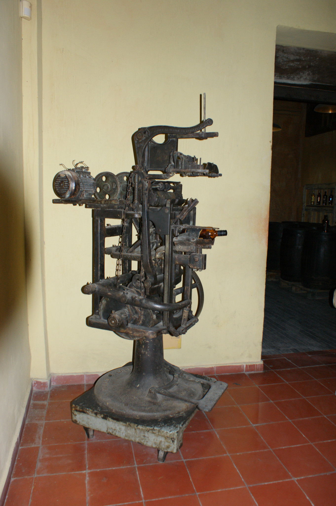 SONY DSC