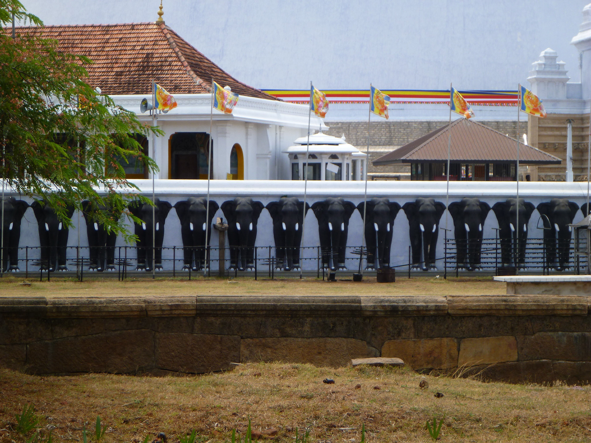 3.9.11 ANURADAPURA - DÁGOBA RUVANVELISÉJA