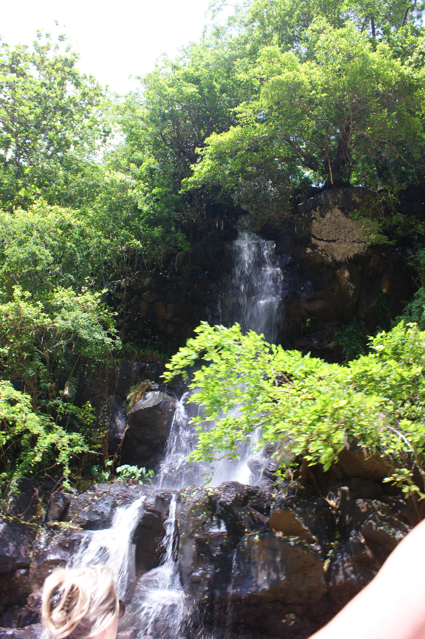 SONY DSC