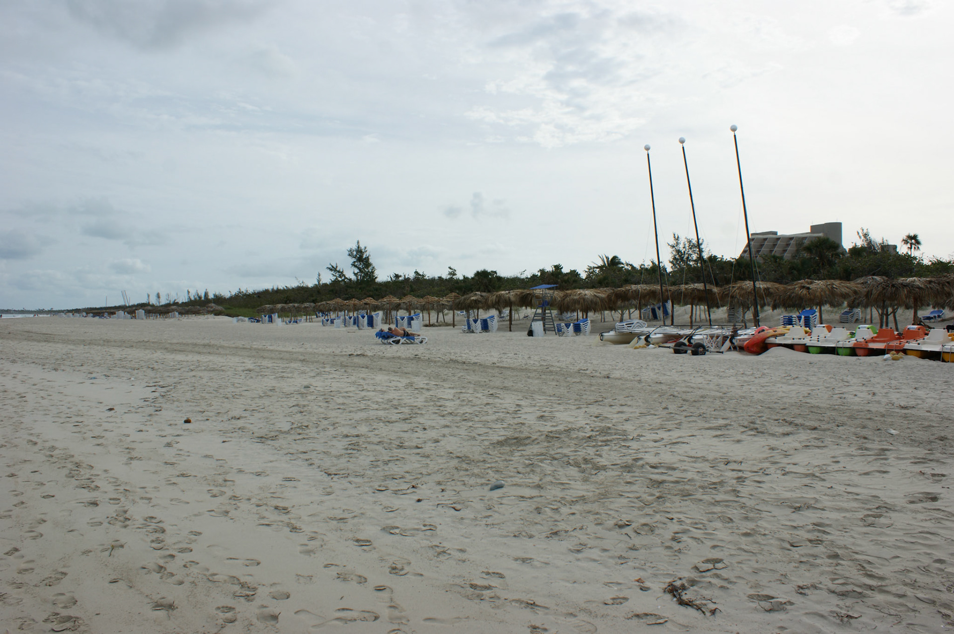 SONY DSC