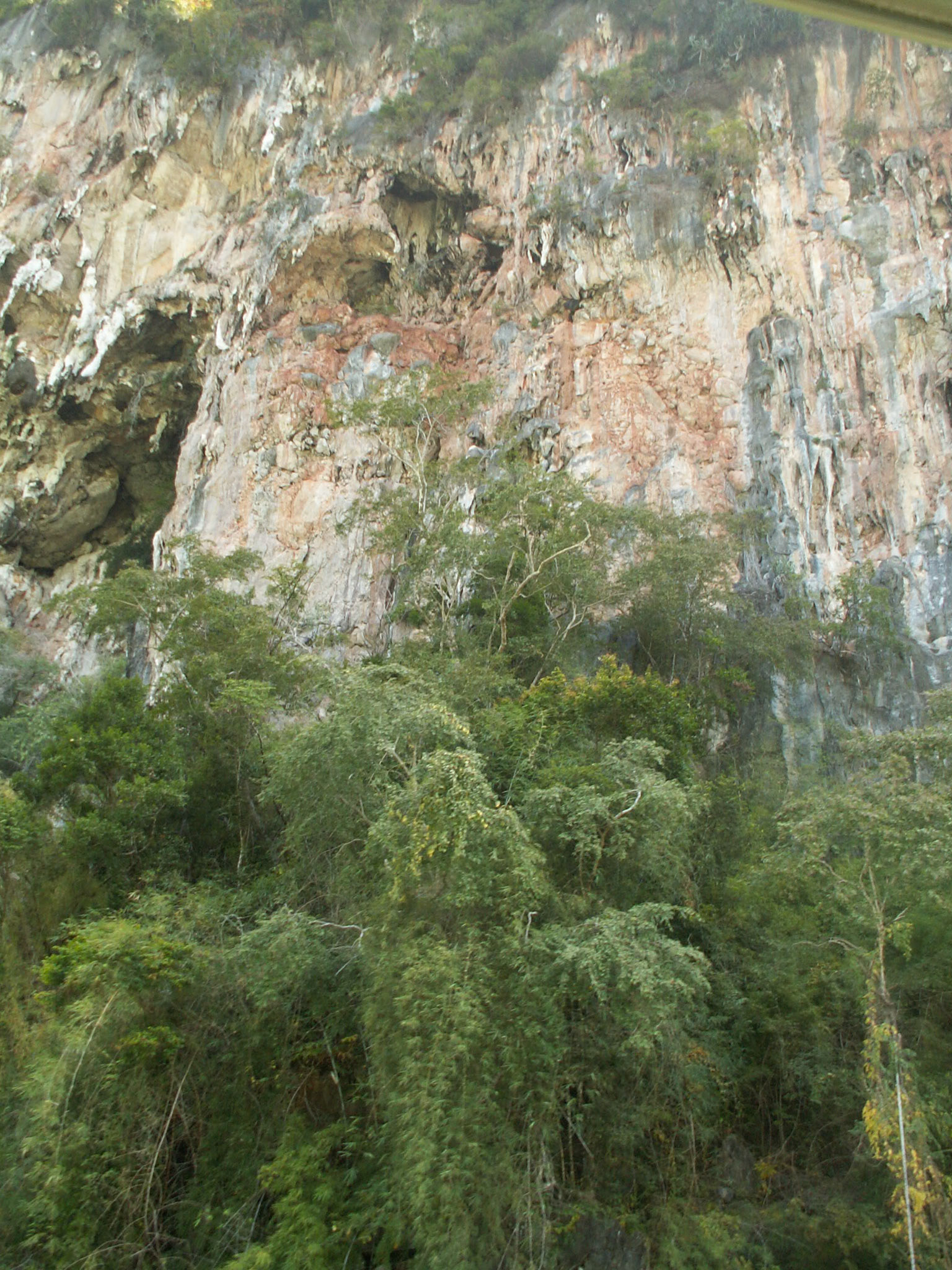 KONICA MINOLTA DIGITAL CAMERA