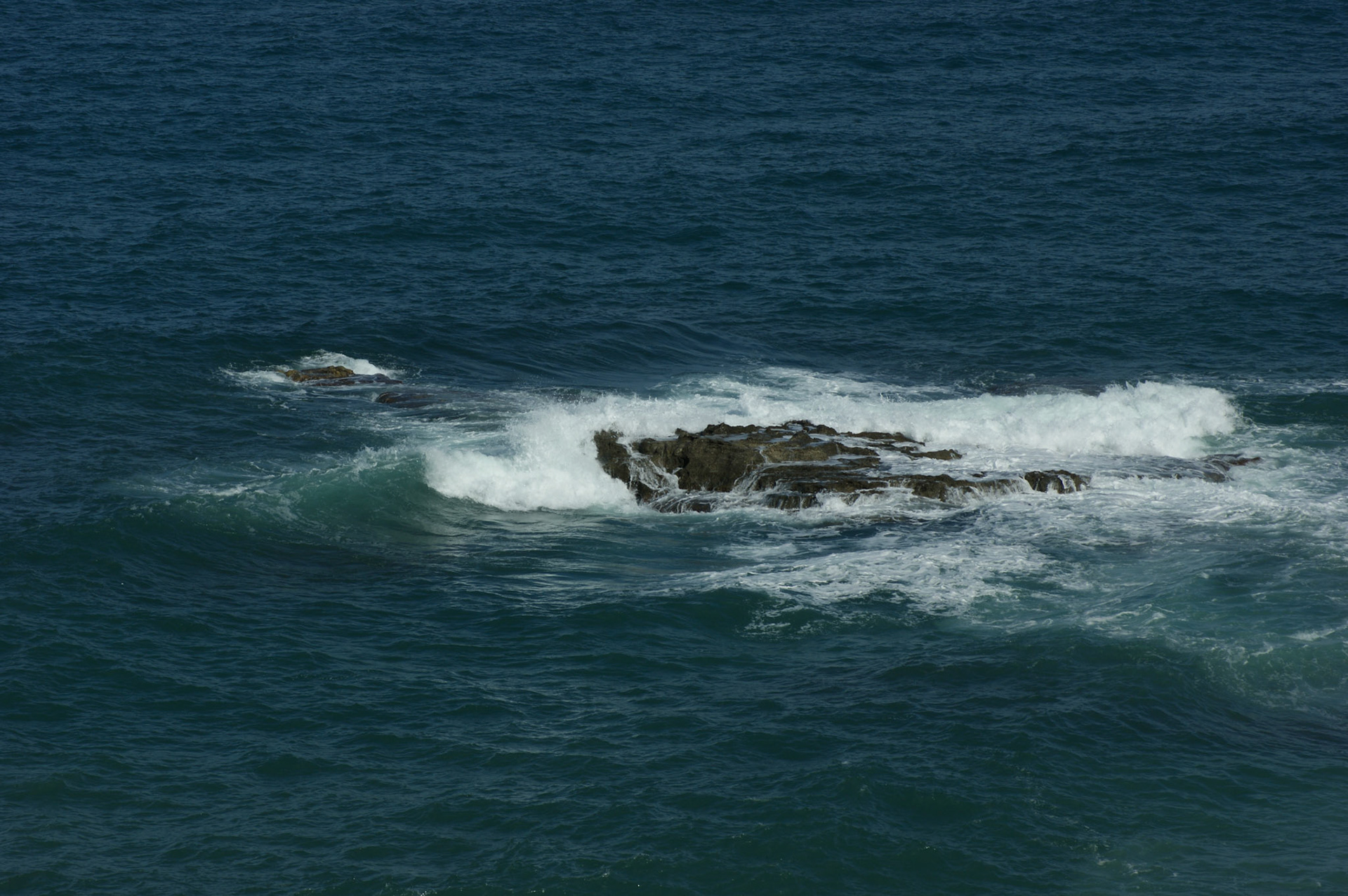 SONY DSC