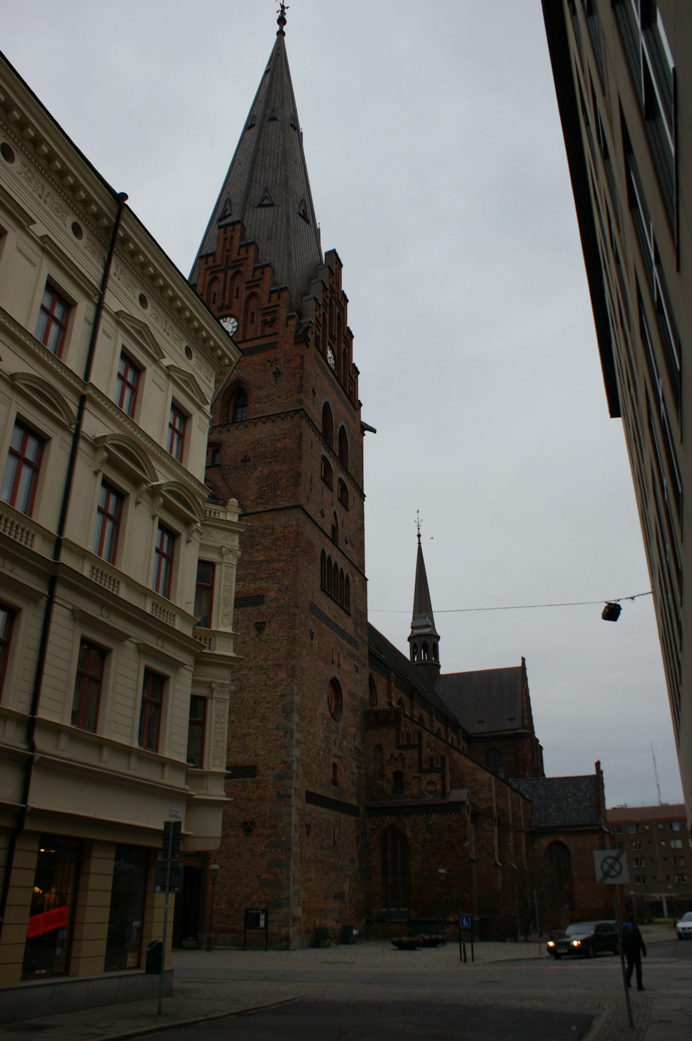 SONY DSC