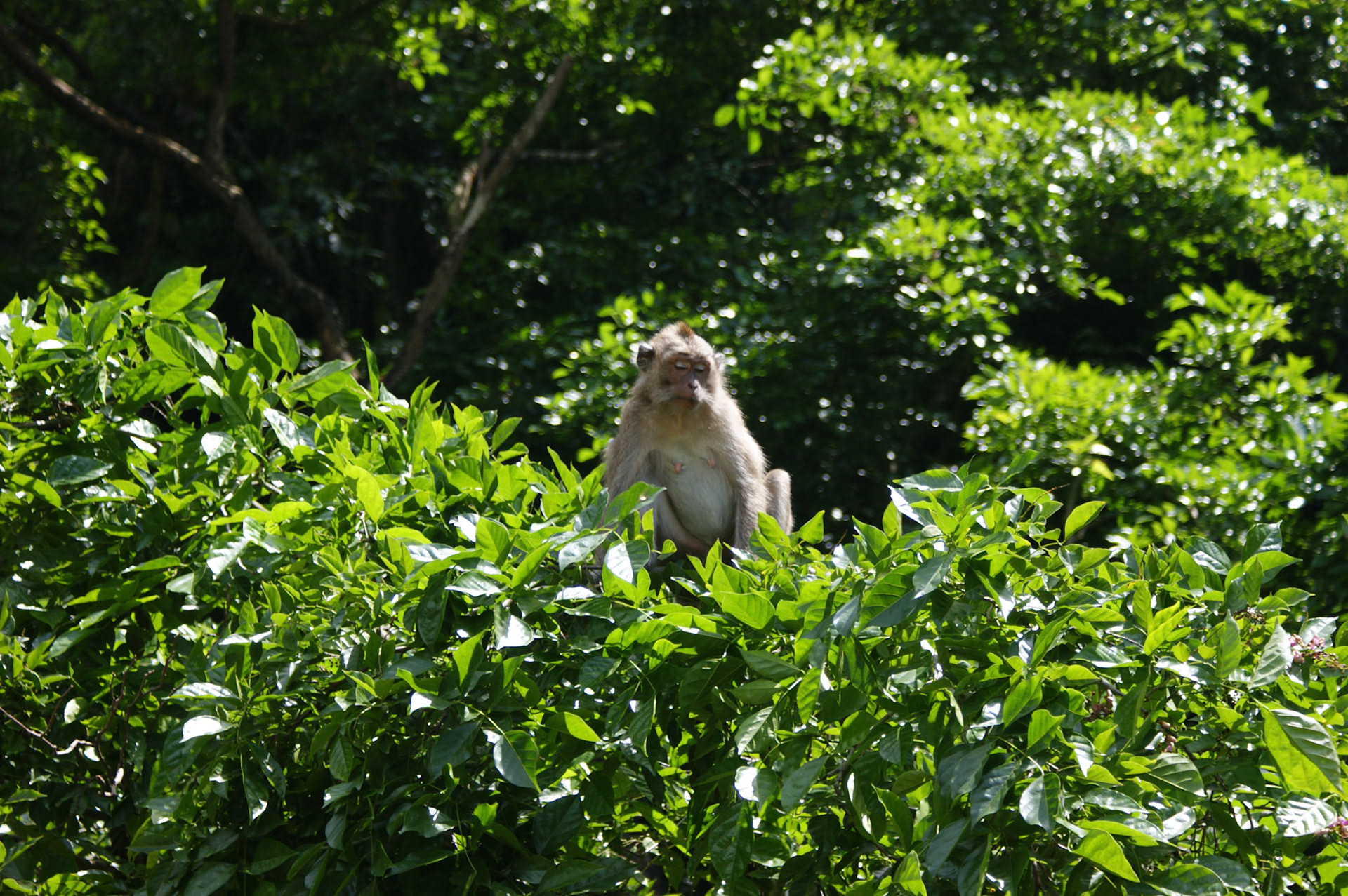 SONY DSC