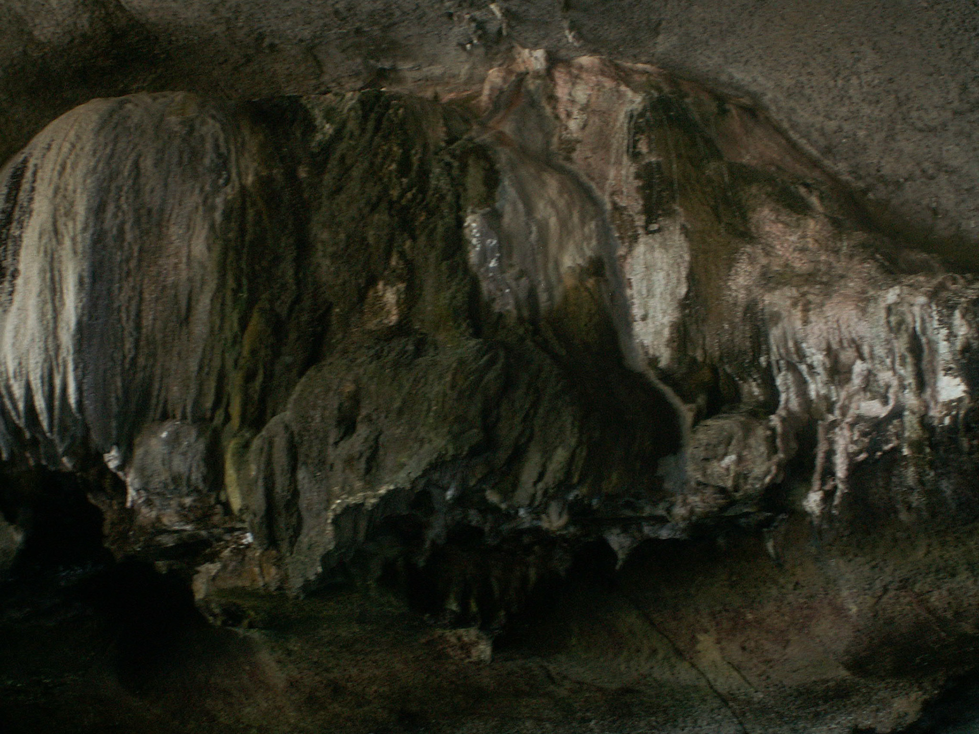 KONICA MINOLTA DIGITAL CAMERA