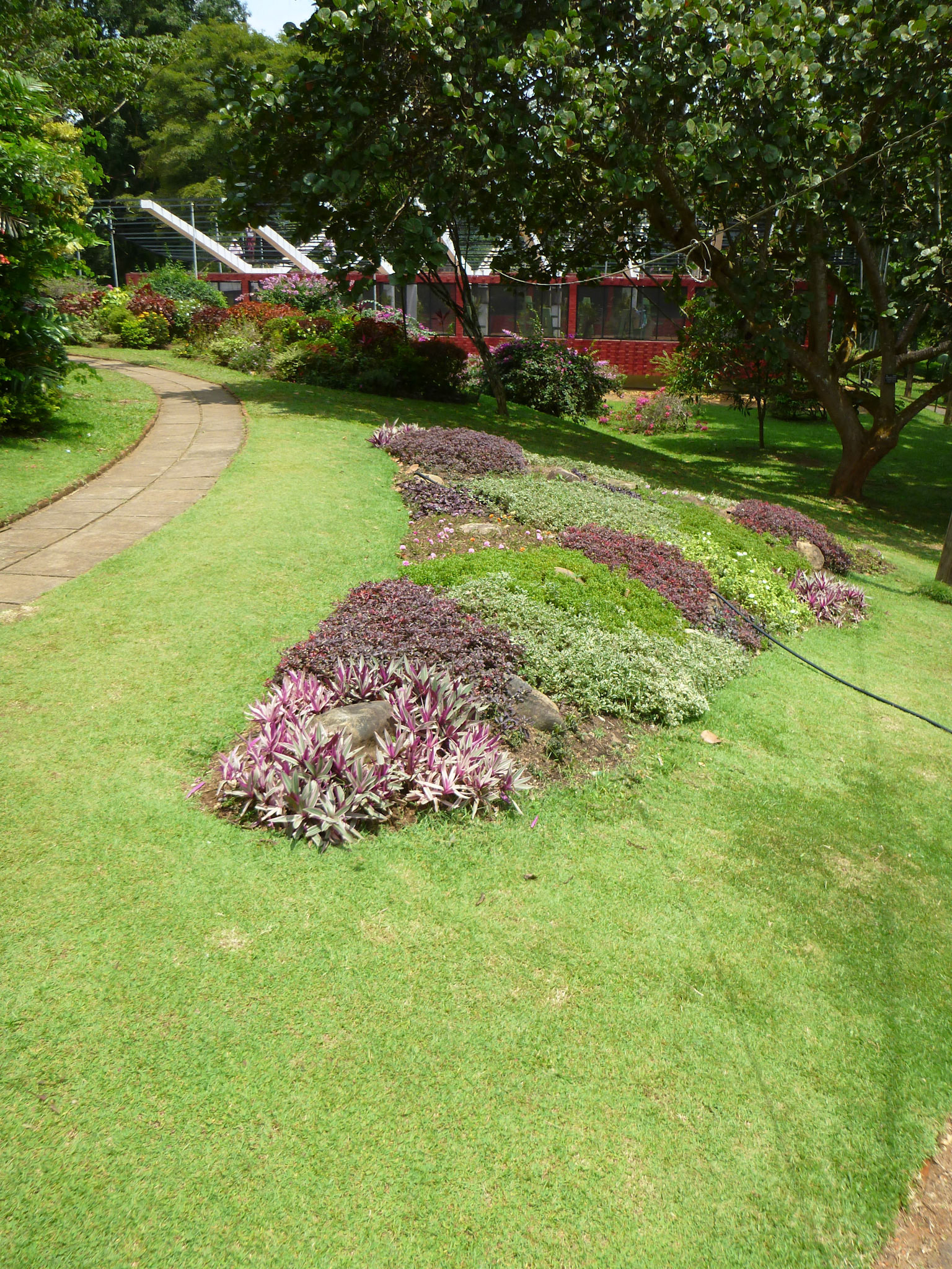 6.9.11 KANDY - Botanická zahrada