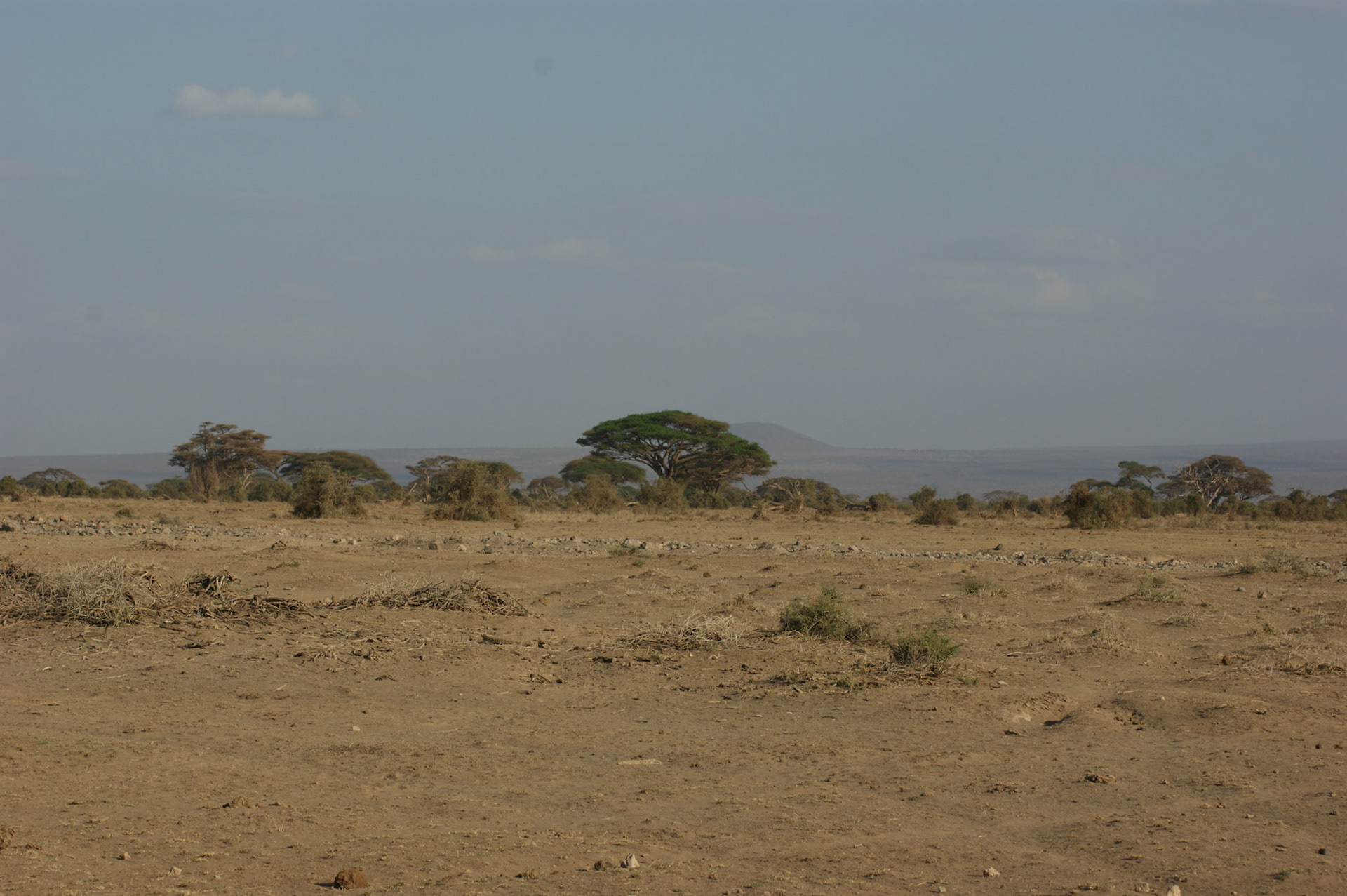 24.9.2009 KEŇA - NP Amboseli