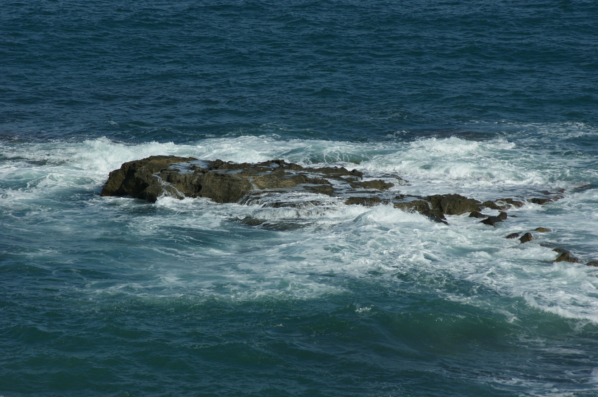 SONY DSC