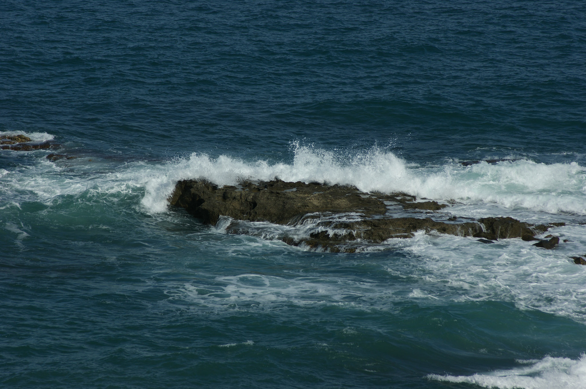 SONY DSC