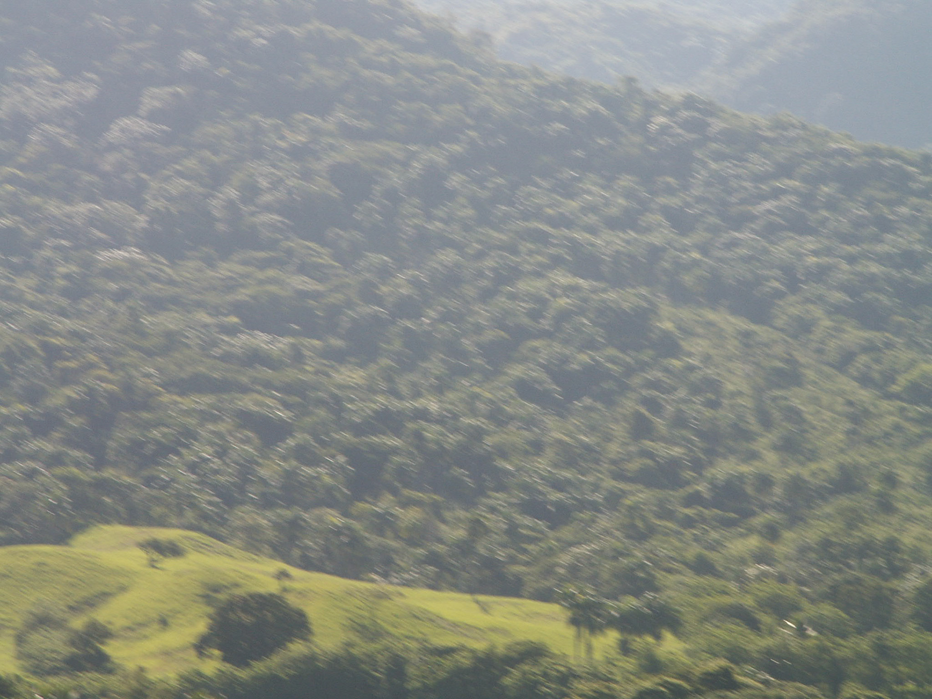 KONICA MINOLTA DIGITAL CAMERA