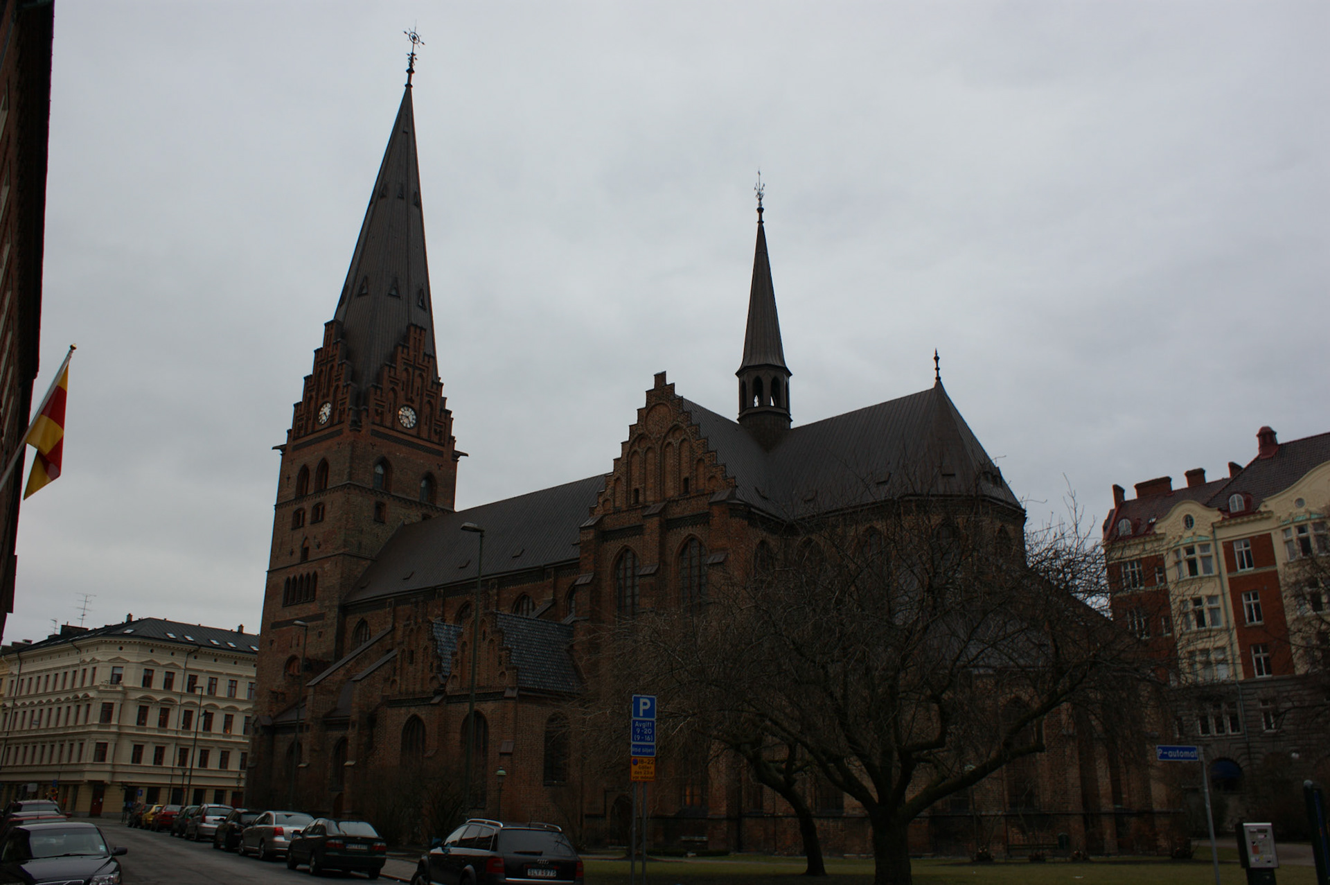 SONY DSC