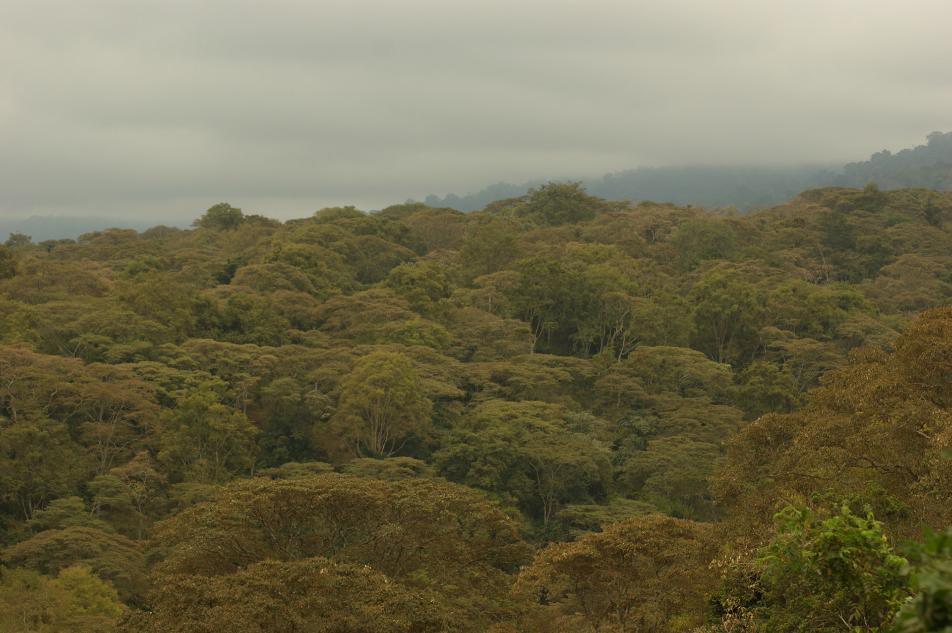 1.10.2009 TANZANIE - Masai Mara
