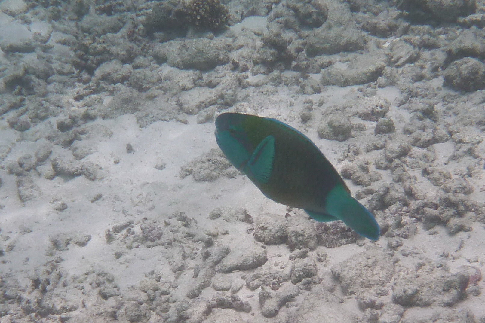 8-14.9.11 MALEDIVY Kurumba hotel