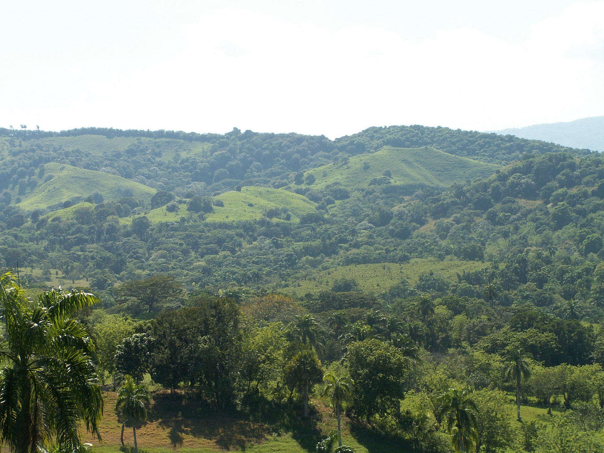 KONICA MINOLTA DIGITAL CAMERA