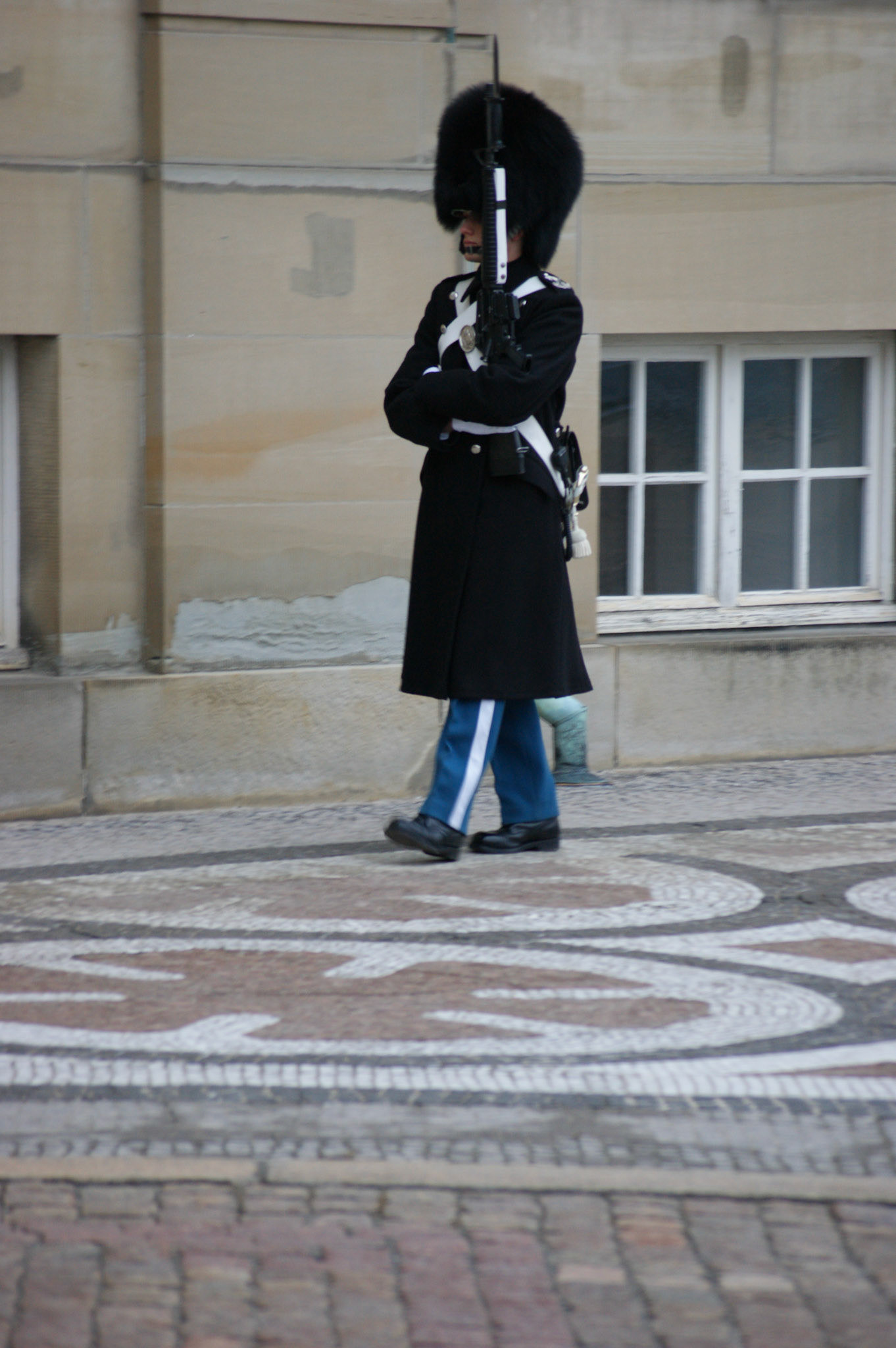 SONY DSC