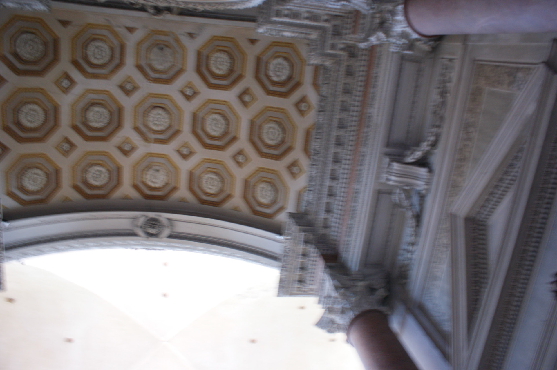 SONY DSC