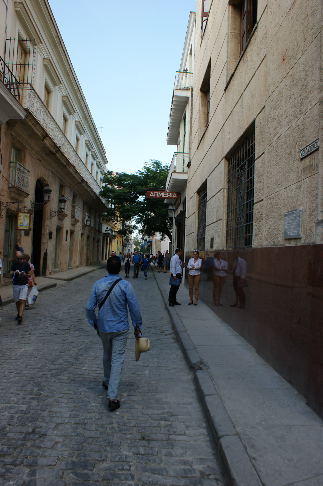 SONY DSC